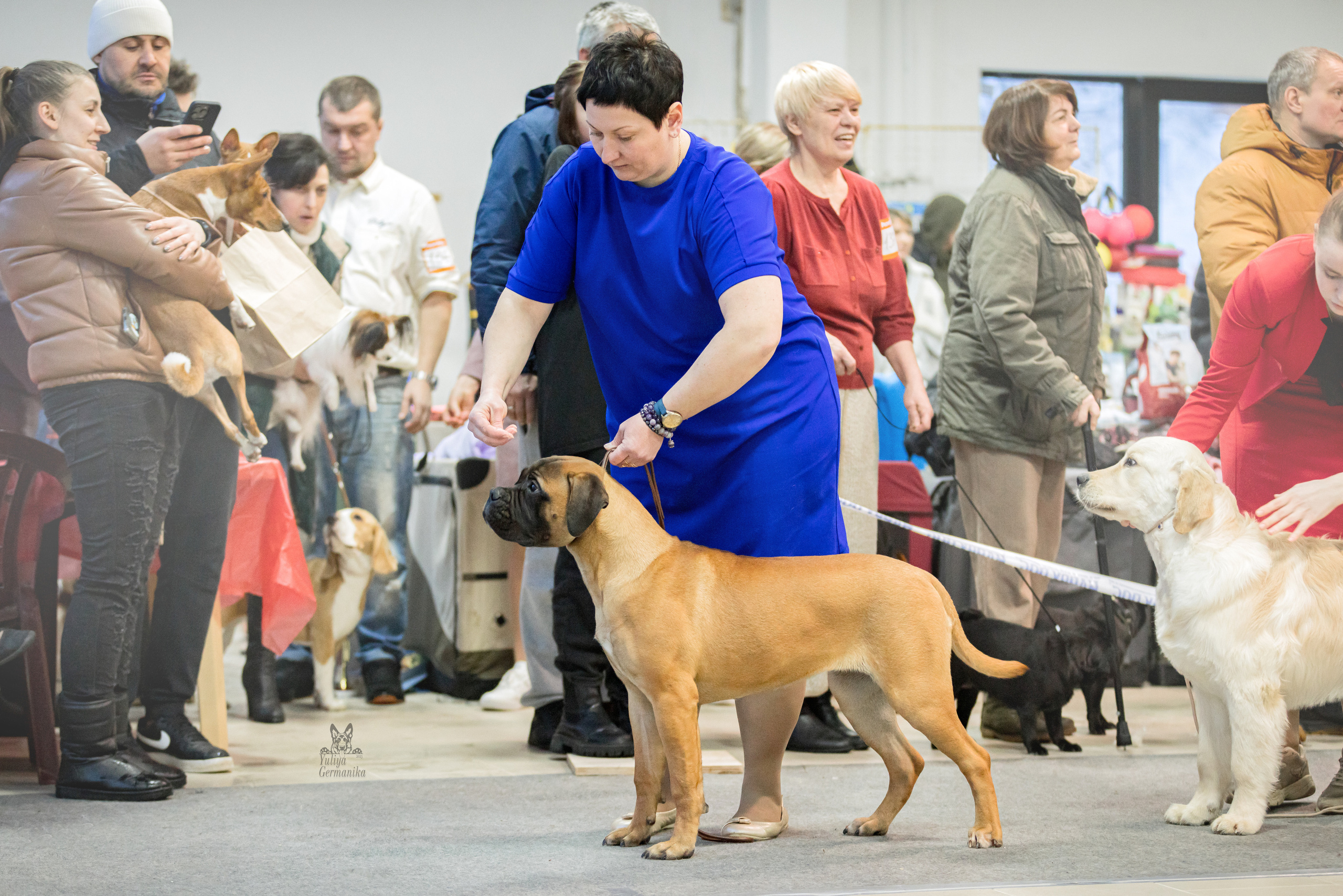 Тверь 19.02.2023. Фотограф-анималист Юлия Германика