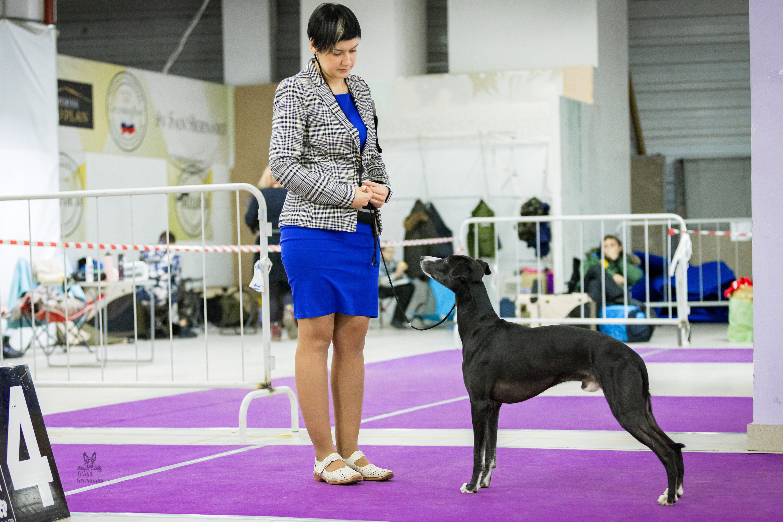 Чайна-Таун 5-8.01.2023. Фотограф-анималист Юлия Германика