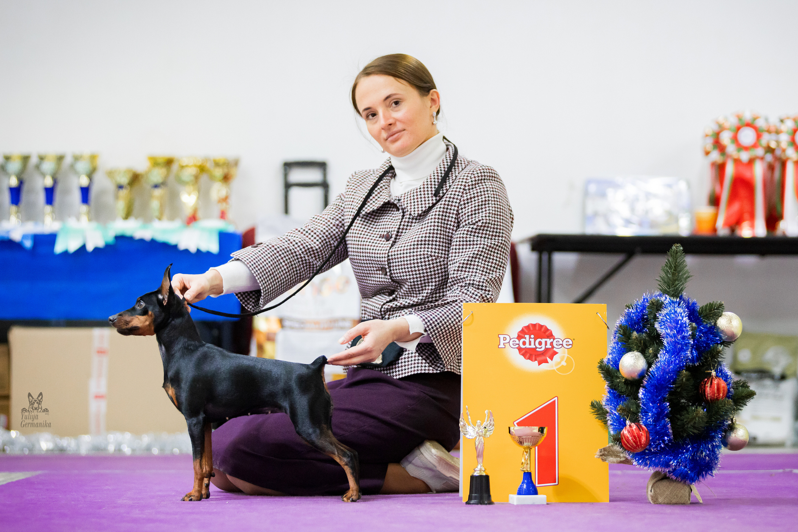 Чайна-Таун 5-8.01.2023. Фотограф-анималист Юлия Германика