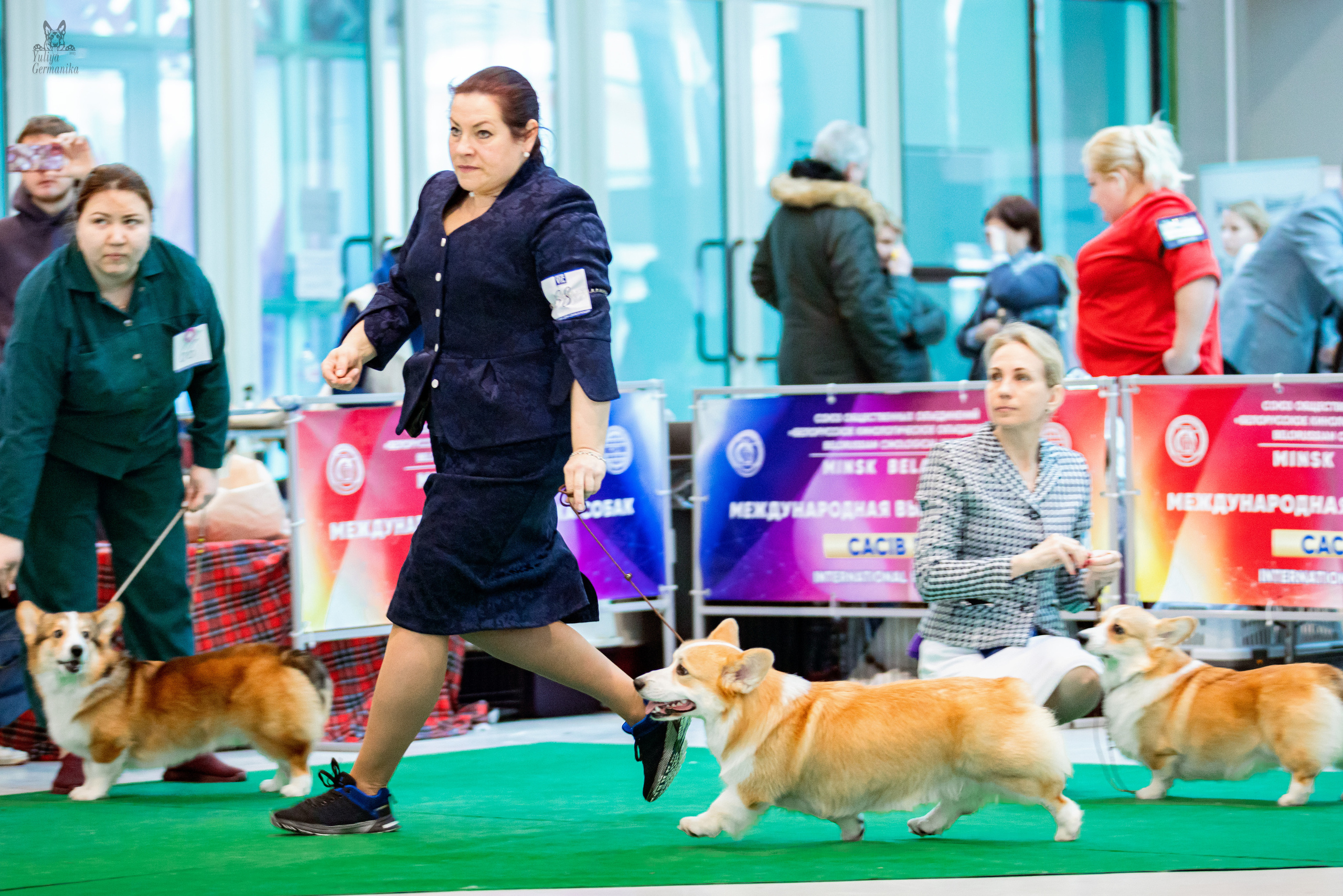 Минск 25-26.02.2023. Фотограф-анималист Юлия Германика