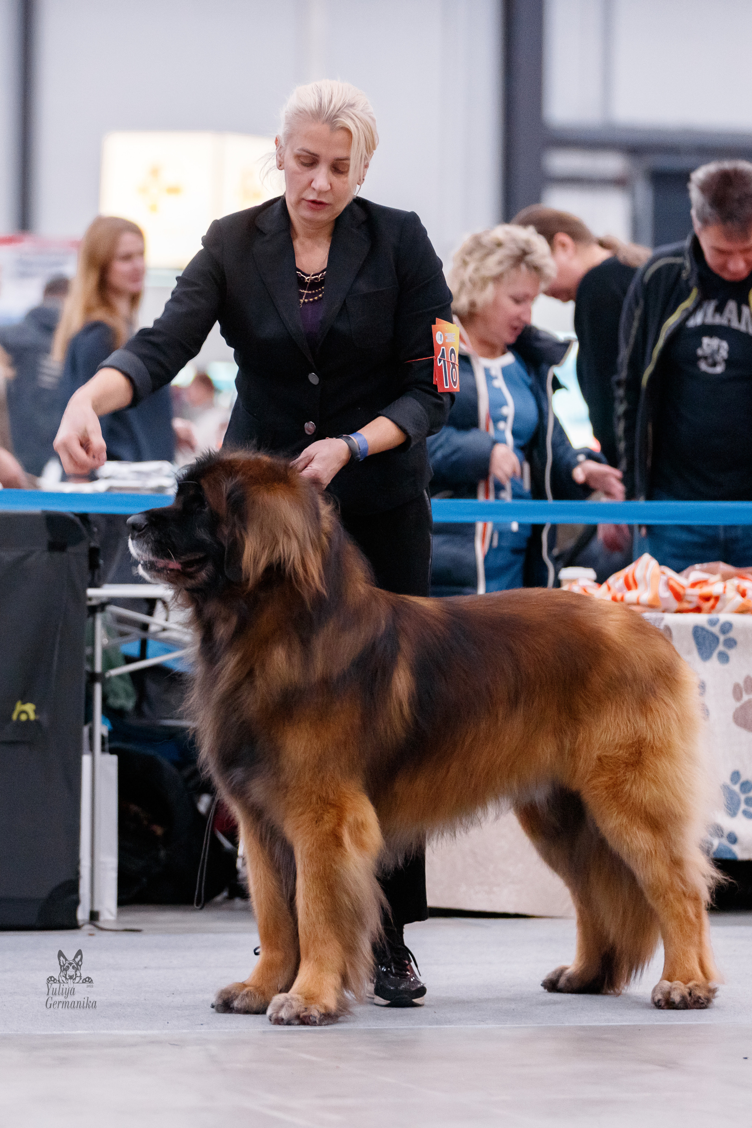 Питер 17-18.12.2022. Фотограф-анималист Юлия Германика