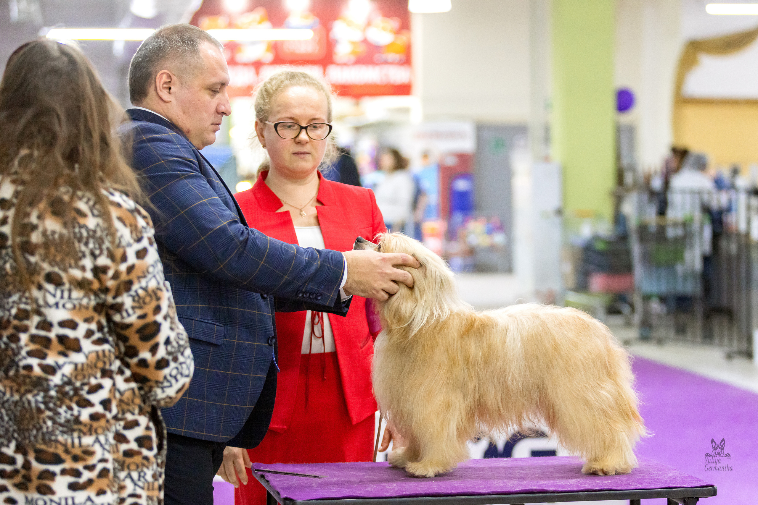 Чайна-Таун 5-8.01.2023. Фотограф-анималист Юлия Германика