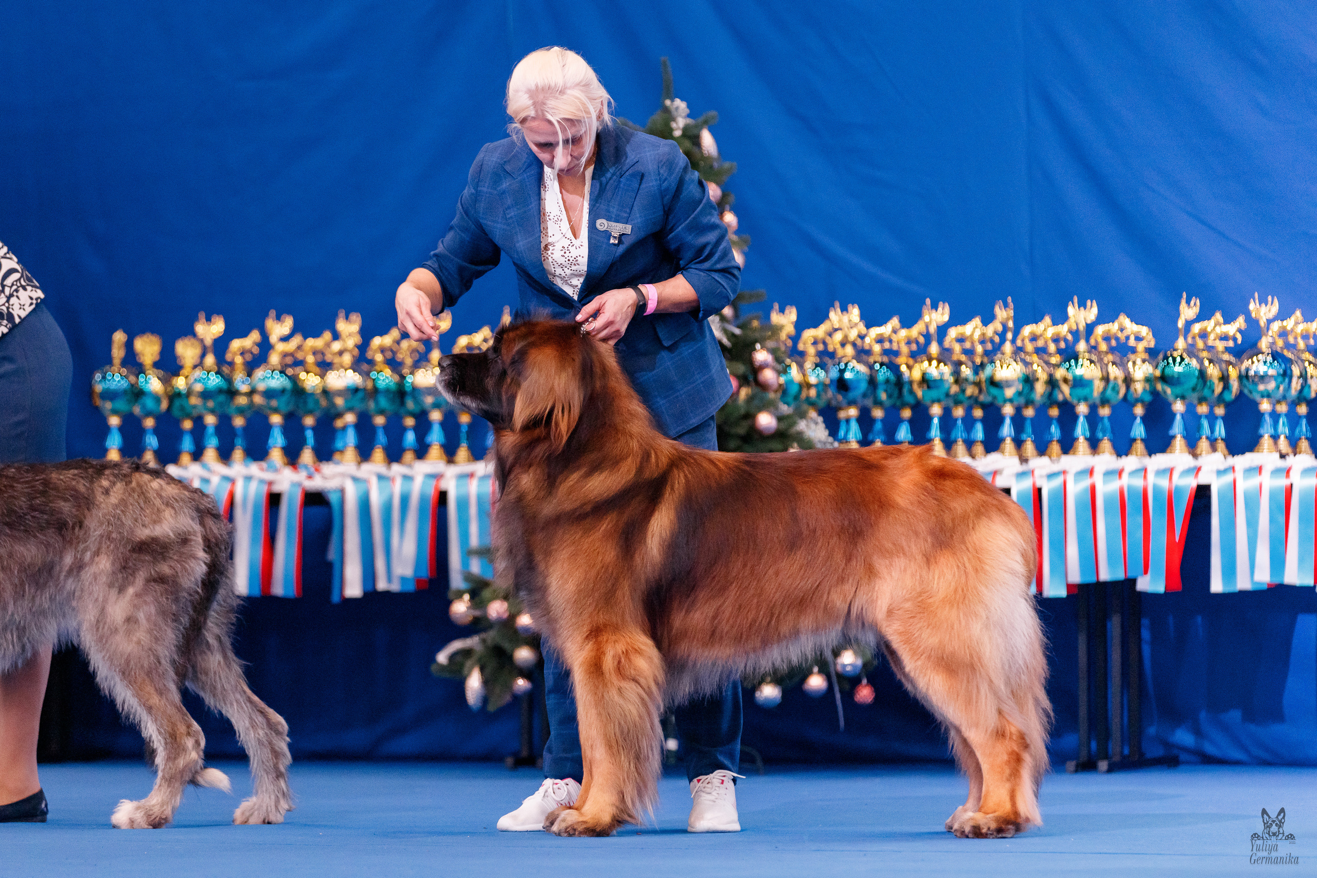Питер 17-18.12.2022. Фотограф-анималист Юлия Германика