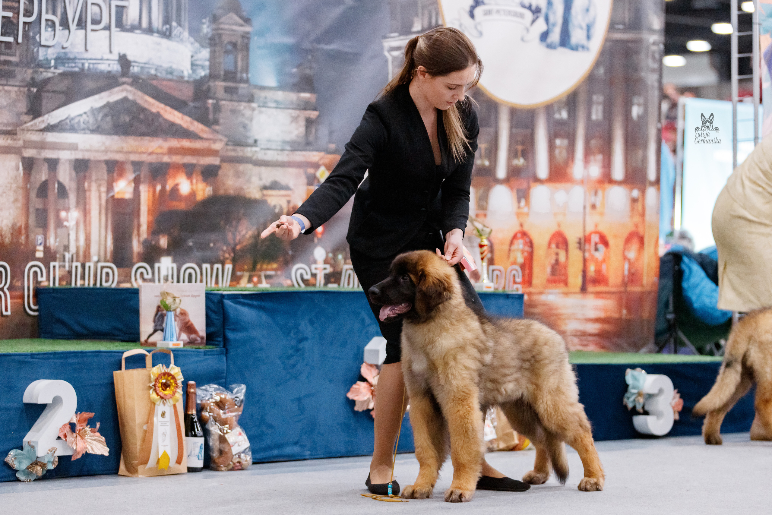 Питер 17-18.12.2022. Фотограф-анималист Юлия Германика