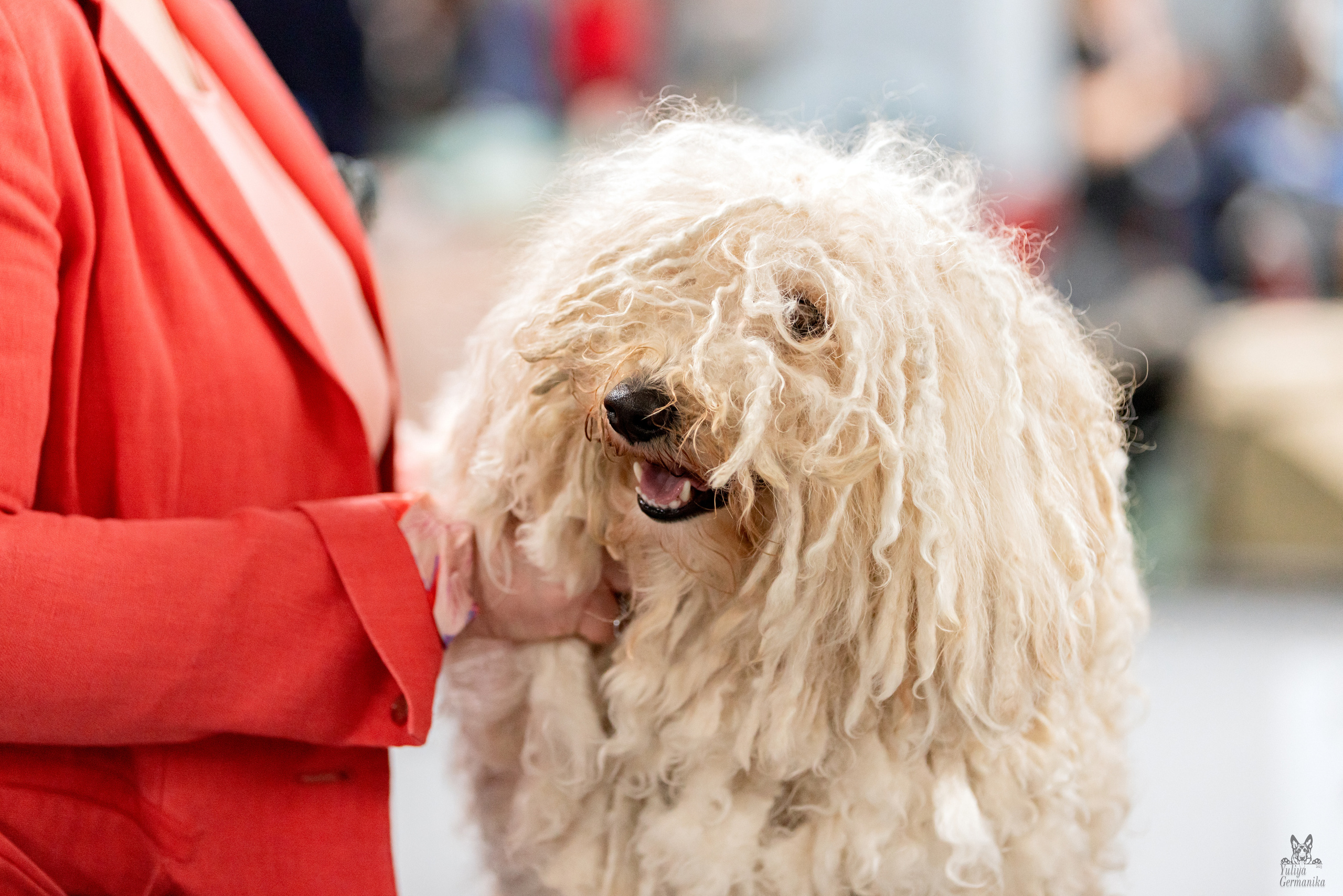 Сфера 5.03.2023. Фотограф-анималист Юлия Германика