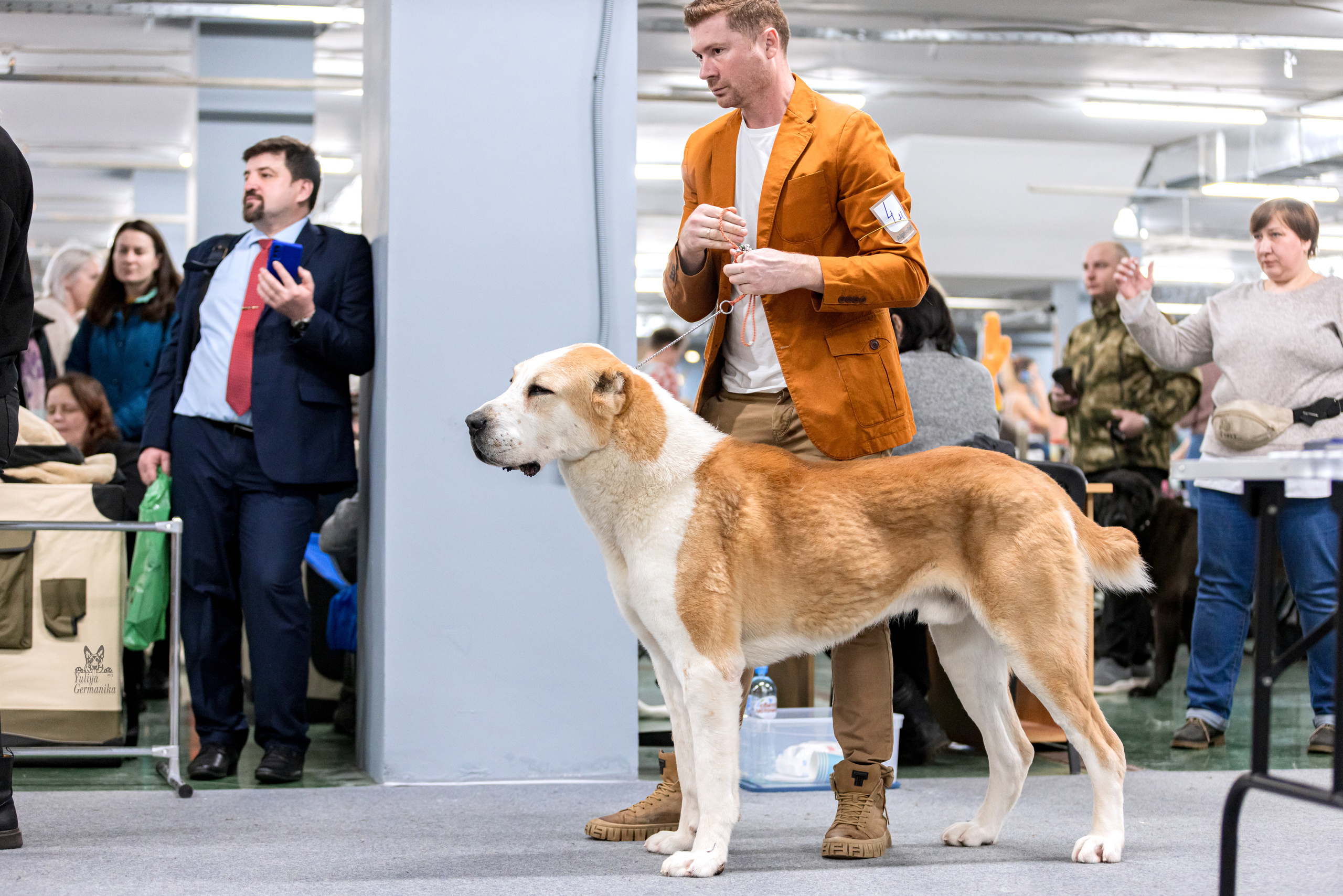 Сфера 5.03.2023. Фотограф-анималист Юлия Германика