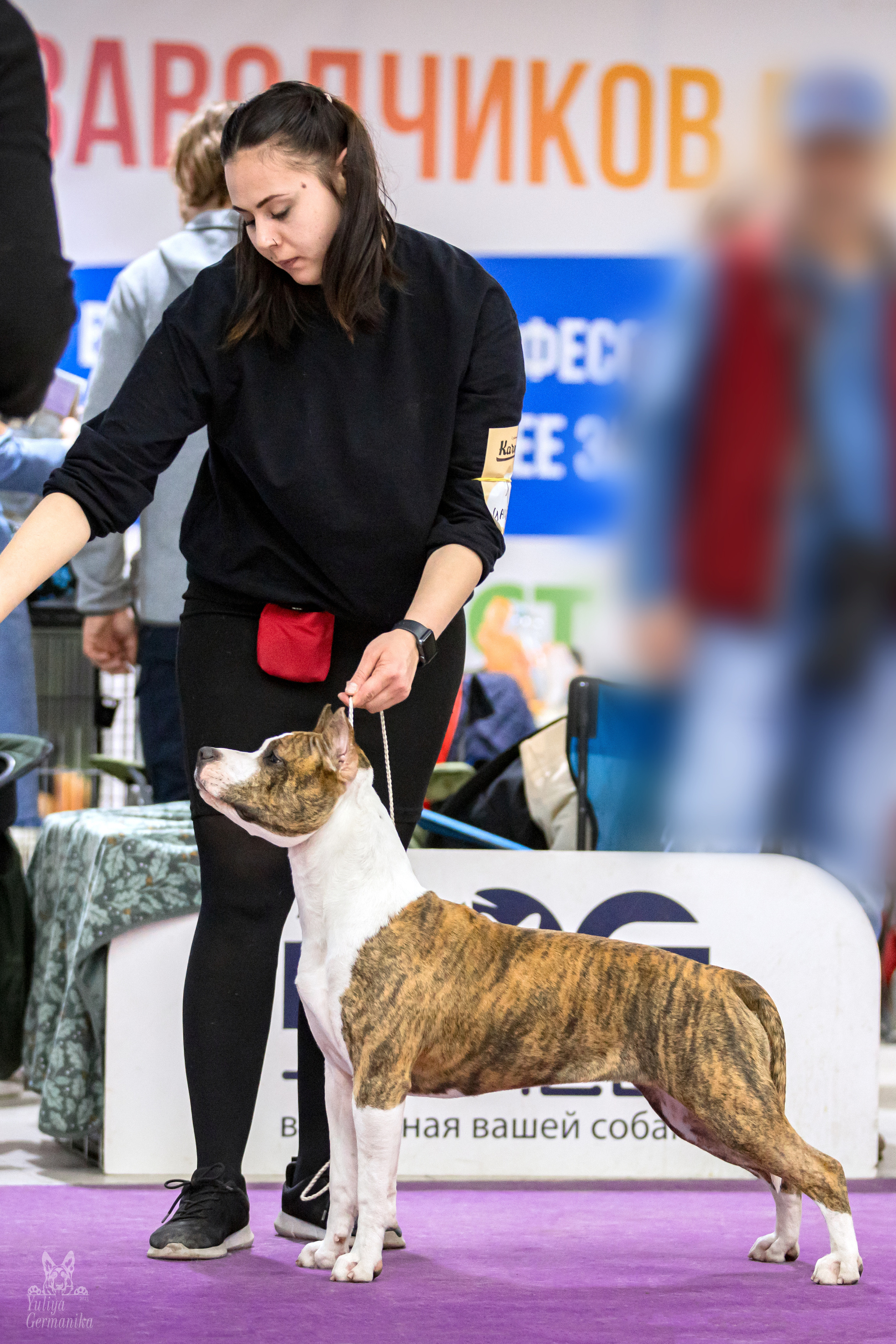 Чайна-Таун 15,21 и 22.01.2023. Фотограф-анималист Юлия Германика