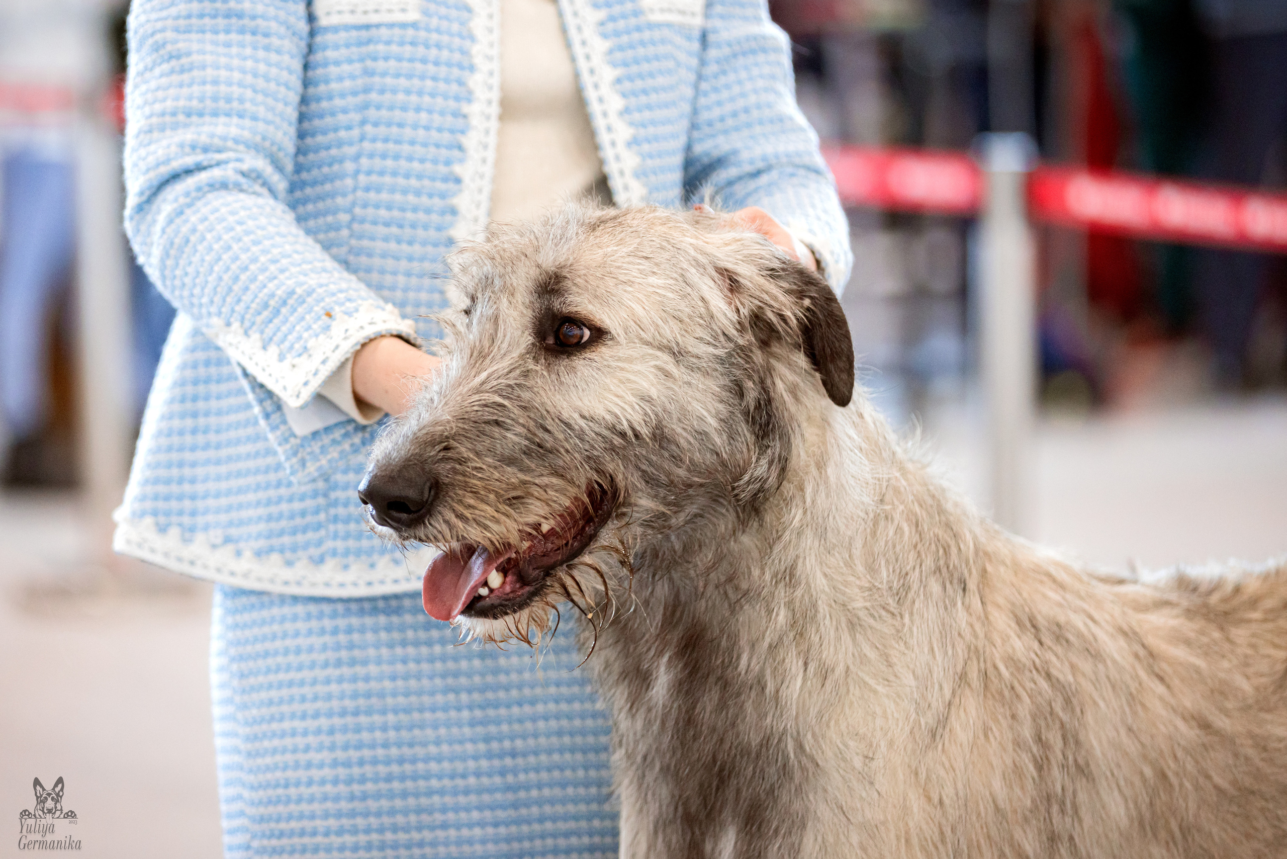 Казань 11.03.2023. Фотограф-анималист Юлия Германика