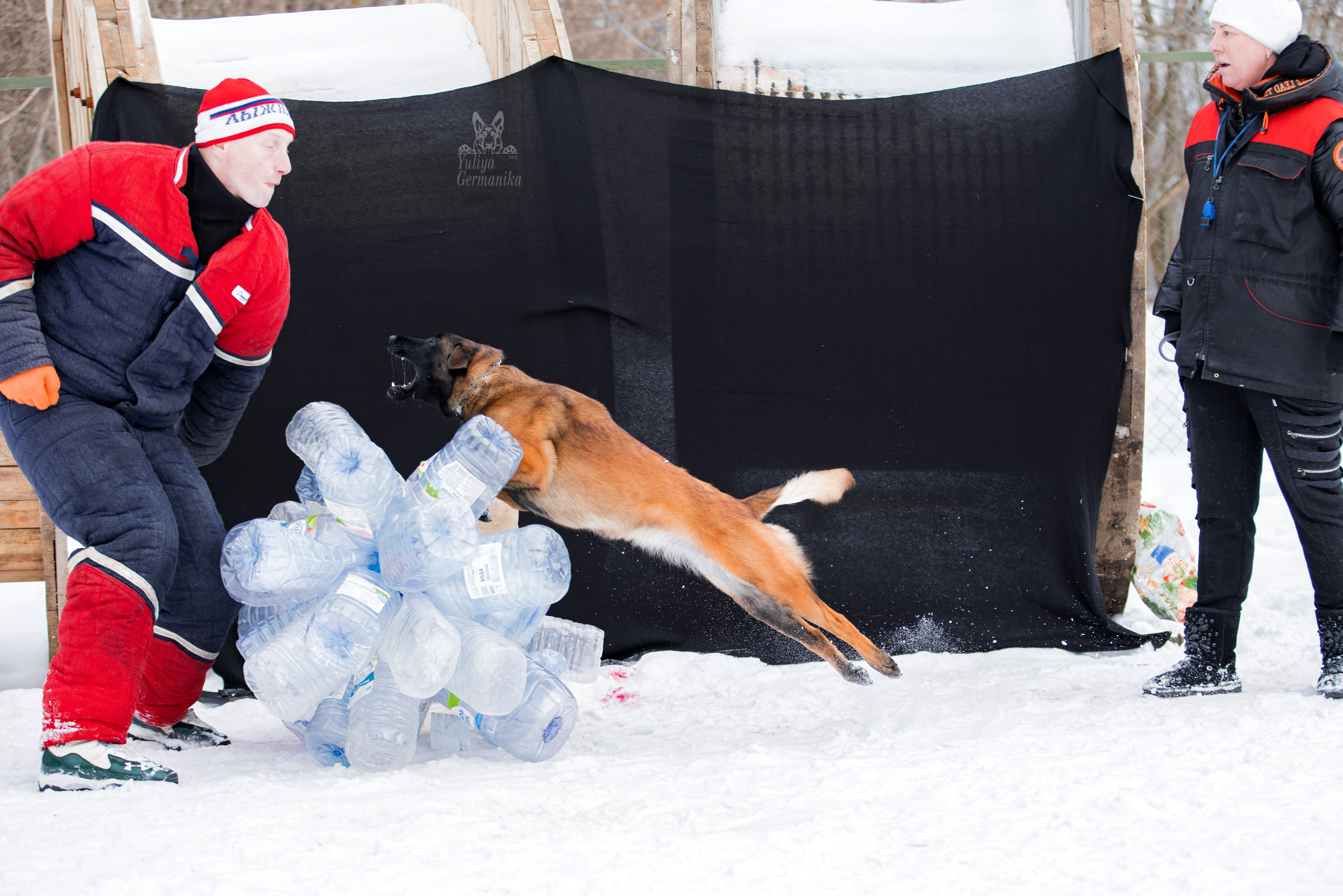 Свободная съемка. Фотограф-анималист Юлия Германика