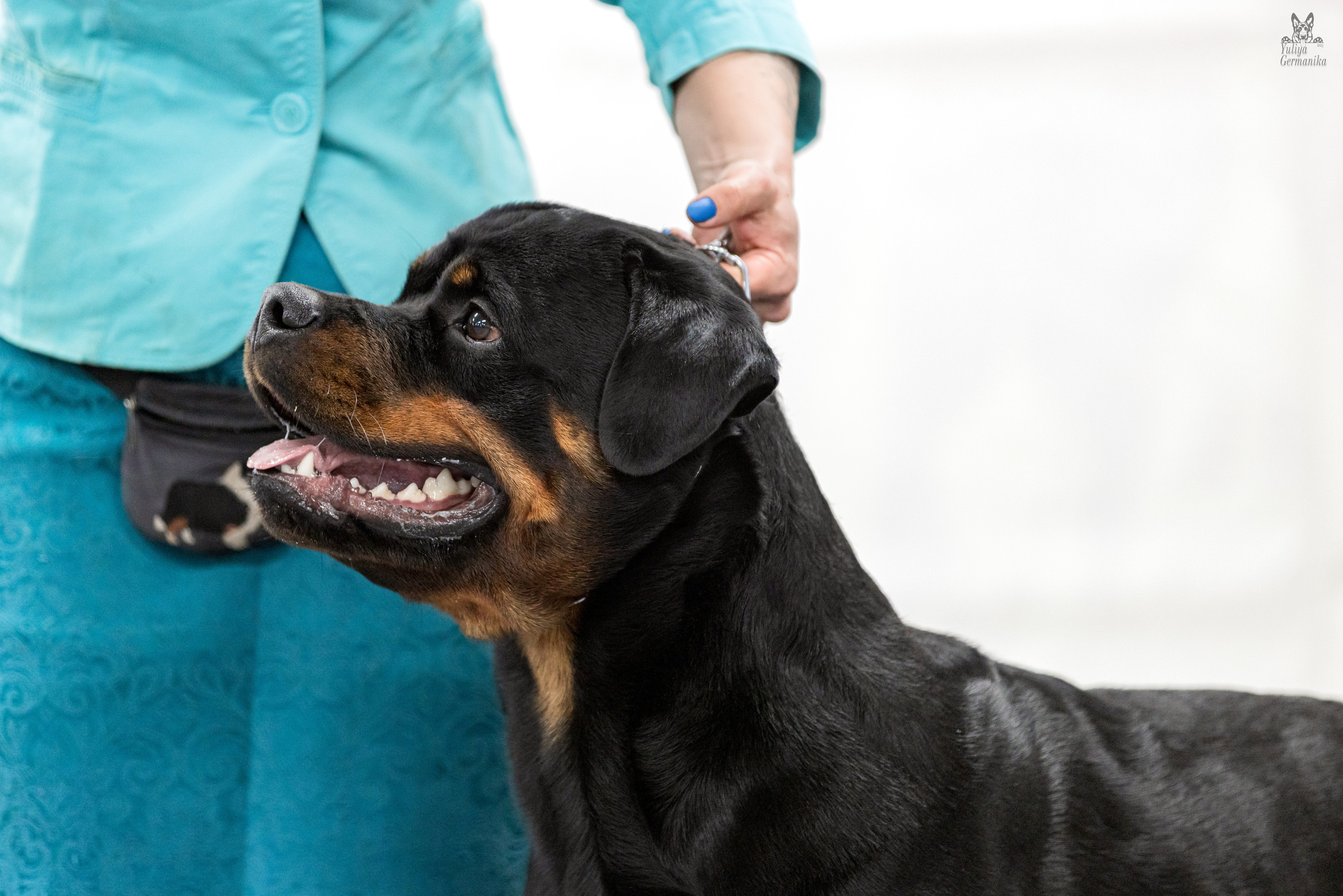 Сфера 5.03.2023. Фотограф-анималист Юлия Германика