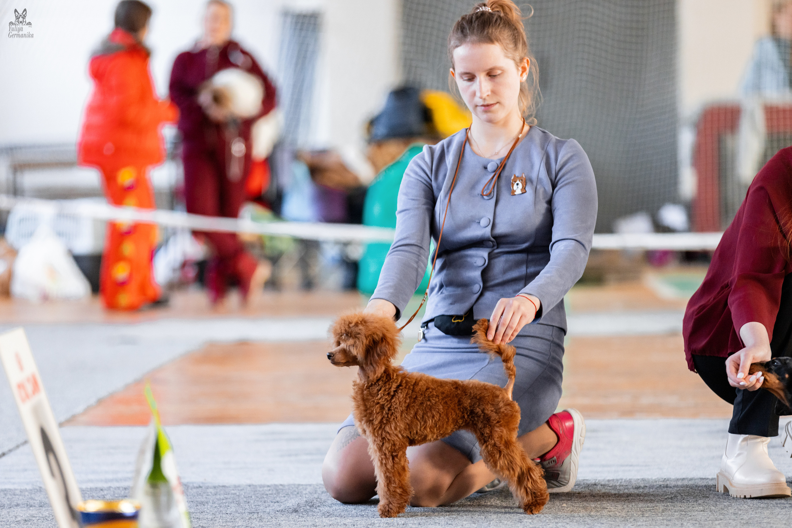 Тверь 19.03.2023. Фотограф-анималист Юлия Германика