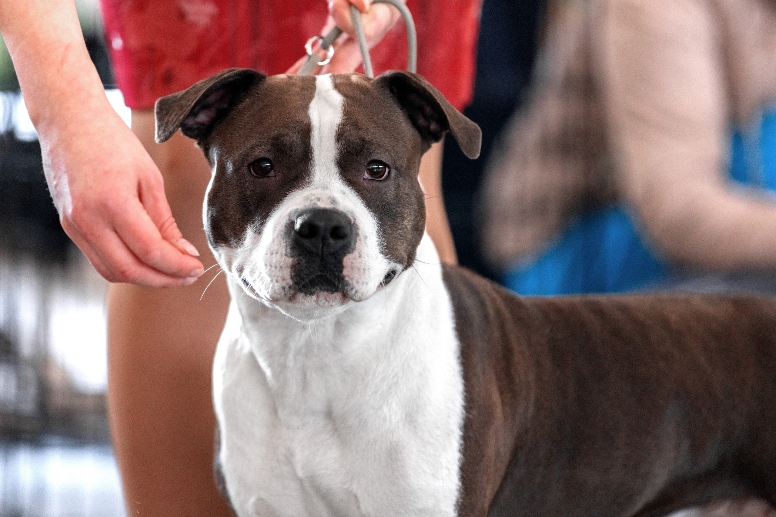 Тверь 19.03.2023. Фотограф-анималист Юлия Германика