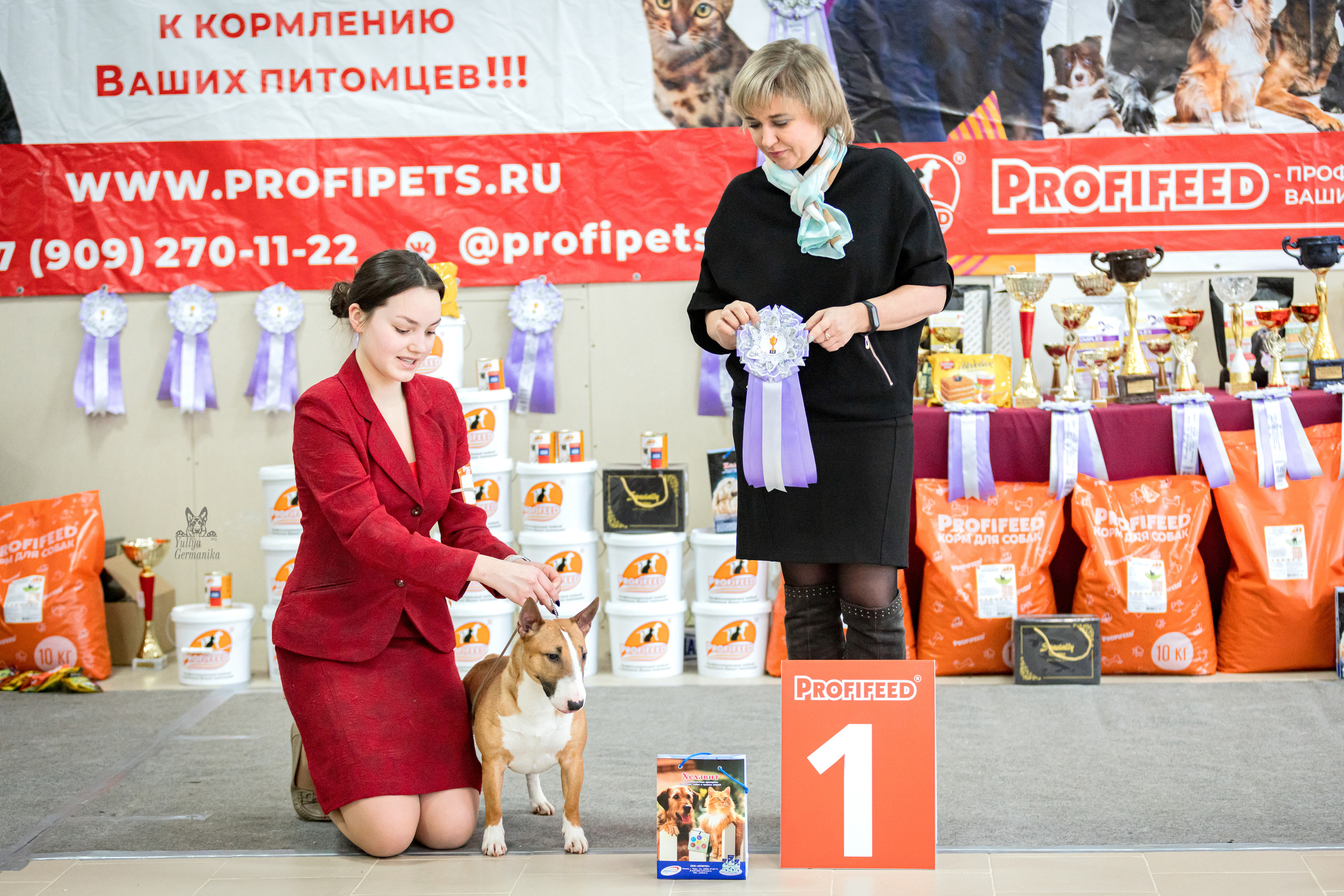 Тверь 19.02.2023. Фотограф-анималист Юлия Германика