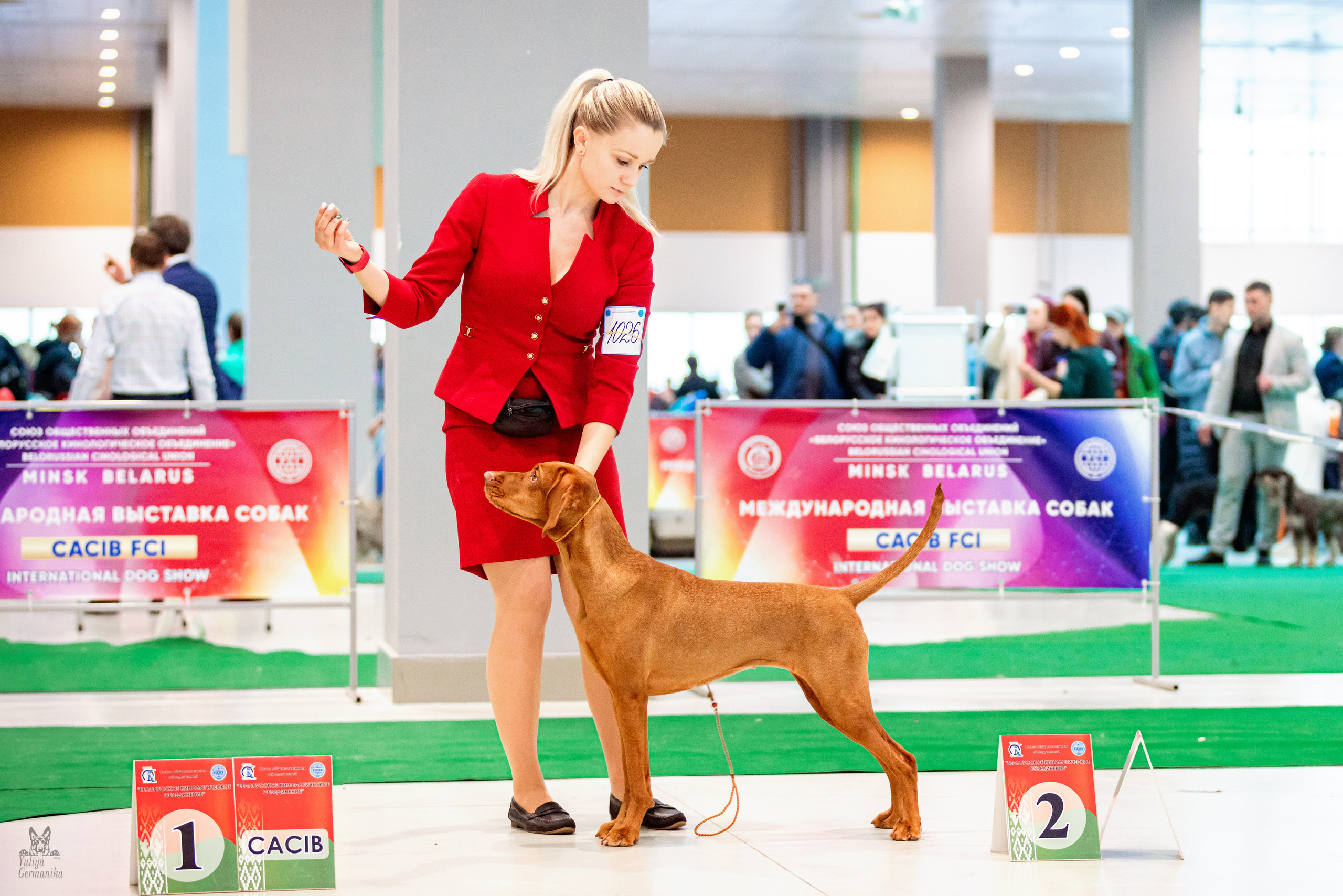 Минск 25-26.02.2023. Фотограф-анималист Юлия Германика