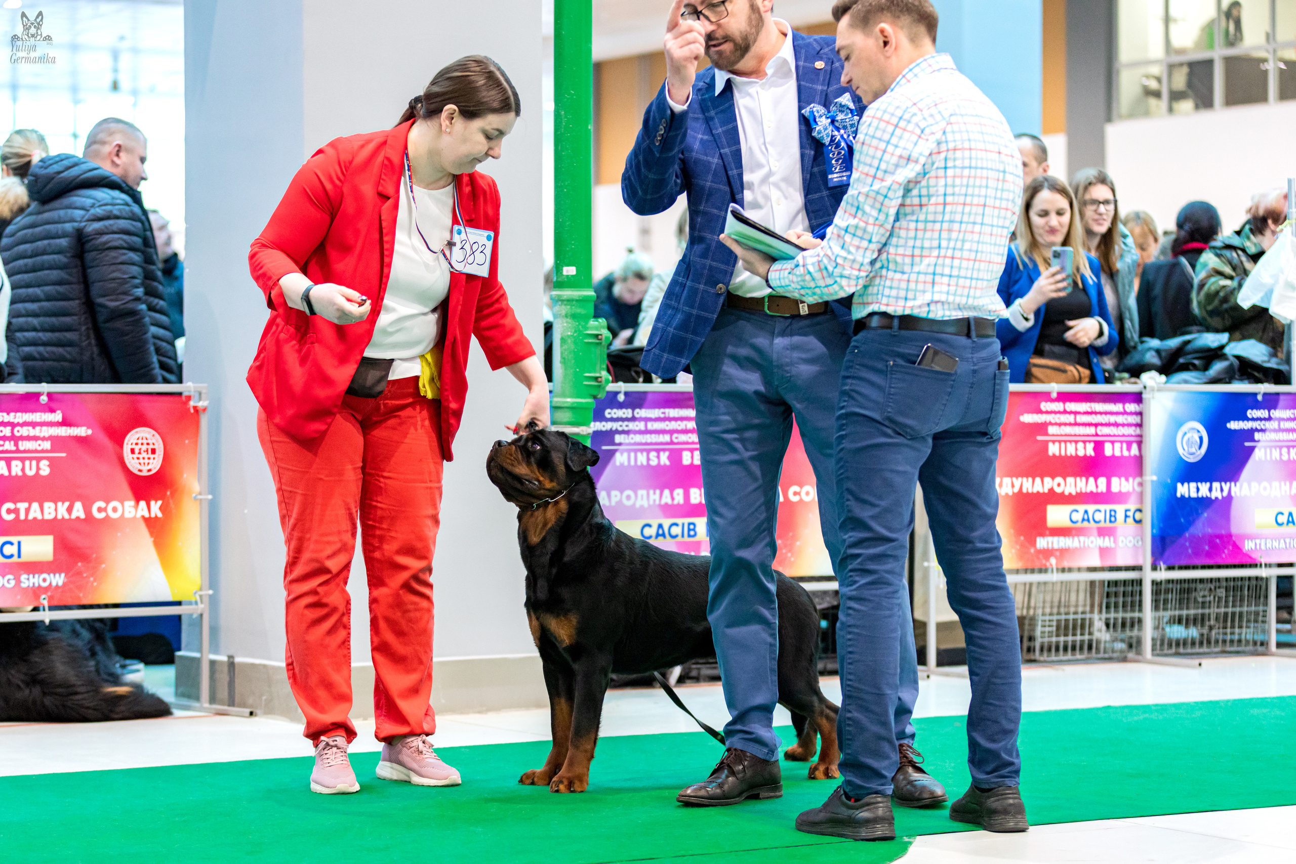 Минск 25-26.02.2023. Фотограф-анималист Юлия Германика