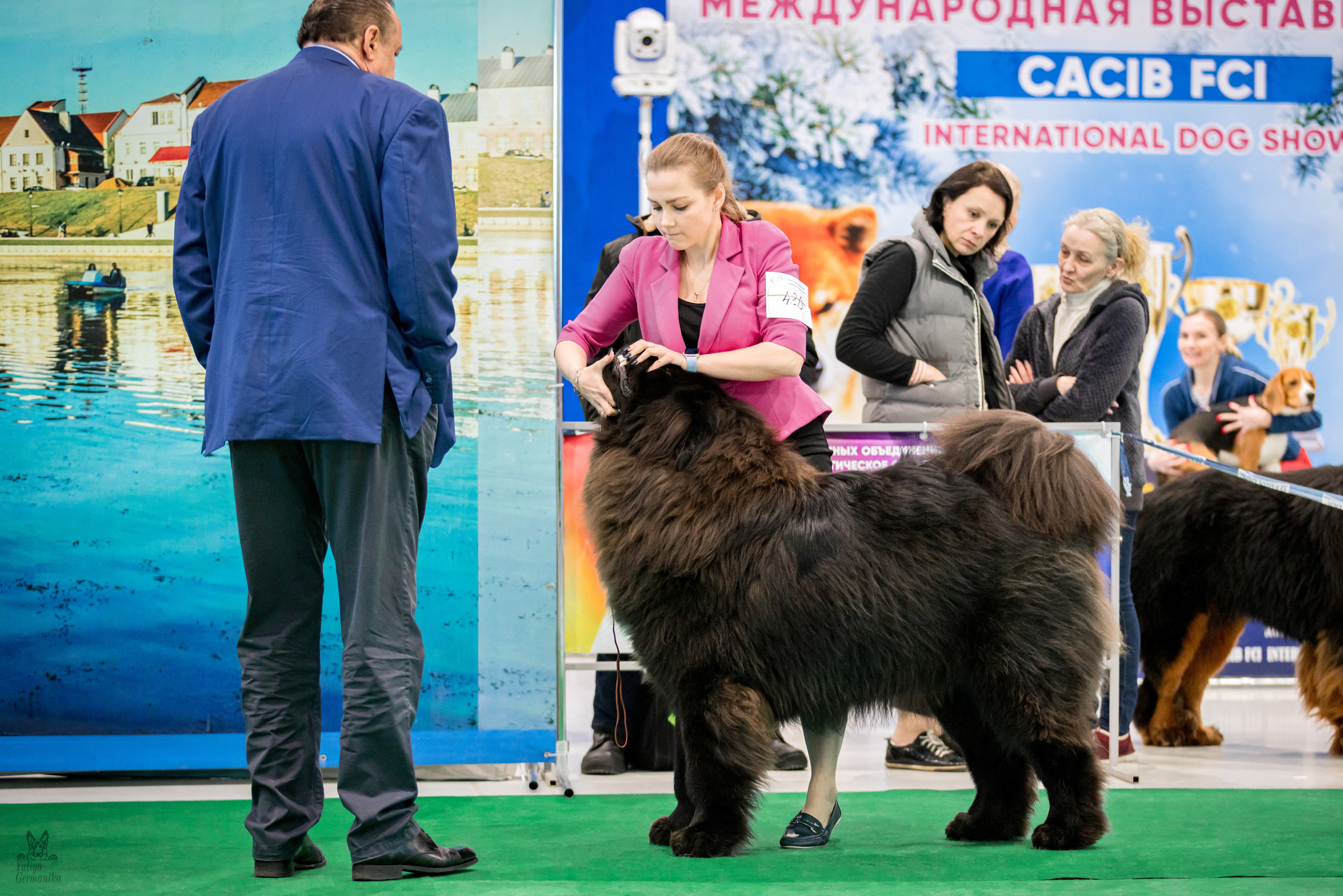 Минск 25-26.02.2023. Фотограф-анималист Юлия Германика