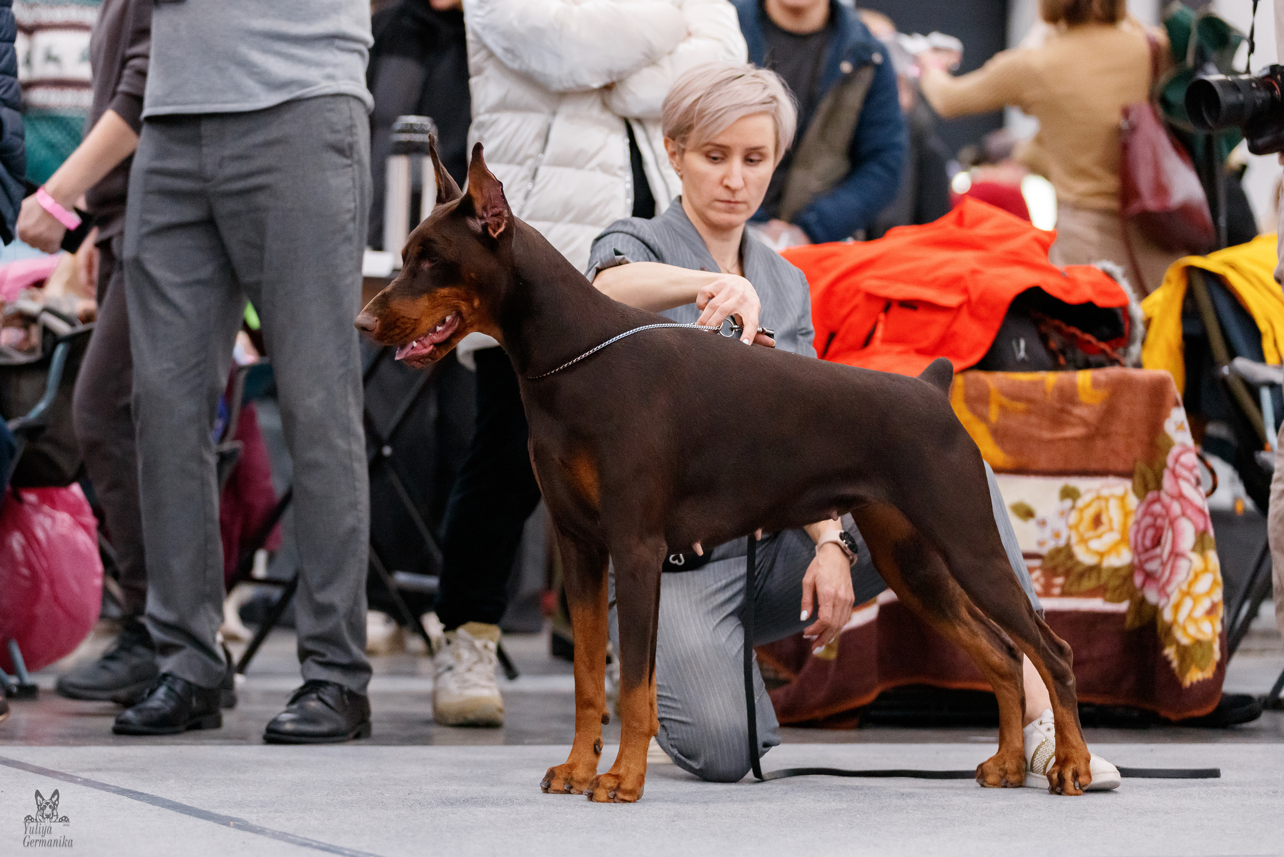 Питер 17-18.12.2022. Фотограф-анималист Юлия Германика