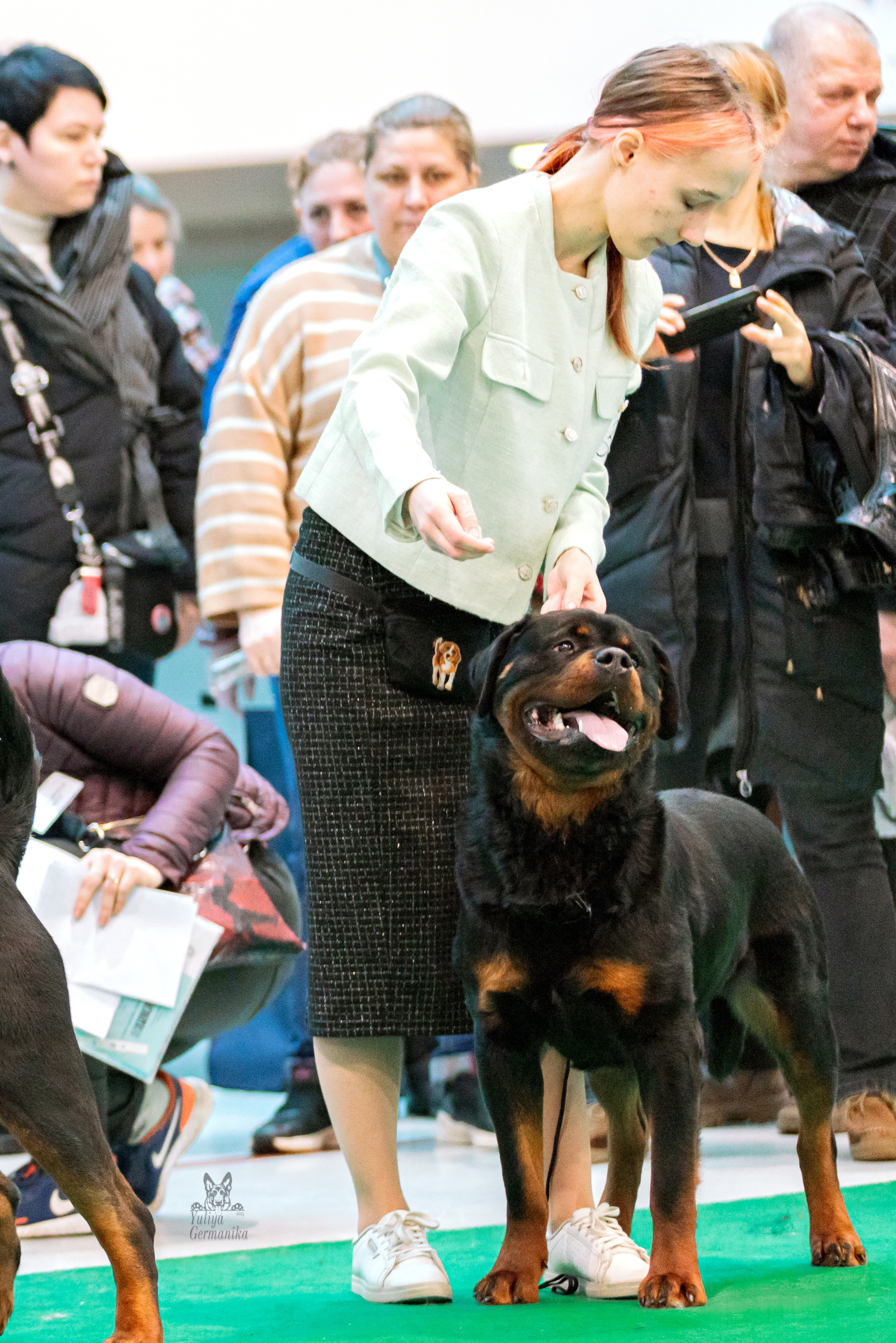 Минск 25-26.02.2023. Фотограф-анималист Юлия Германика