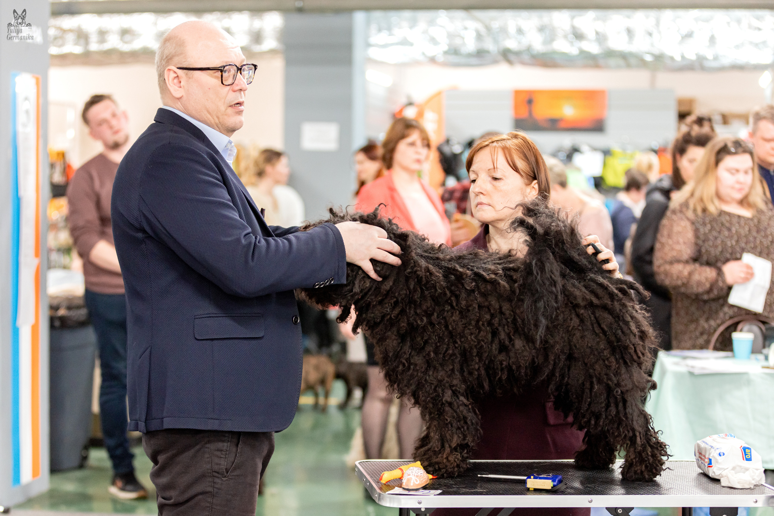 Сфера 5.03.2023. Фотограф-анималист Юлия Германика