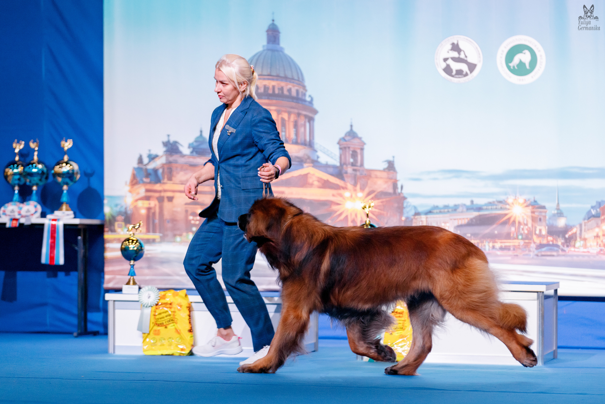 Питер 17-18.12.2022. Фотограф-анималист Юлия Германика