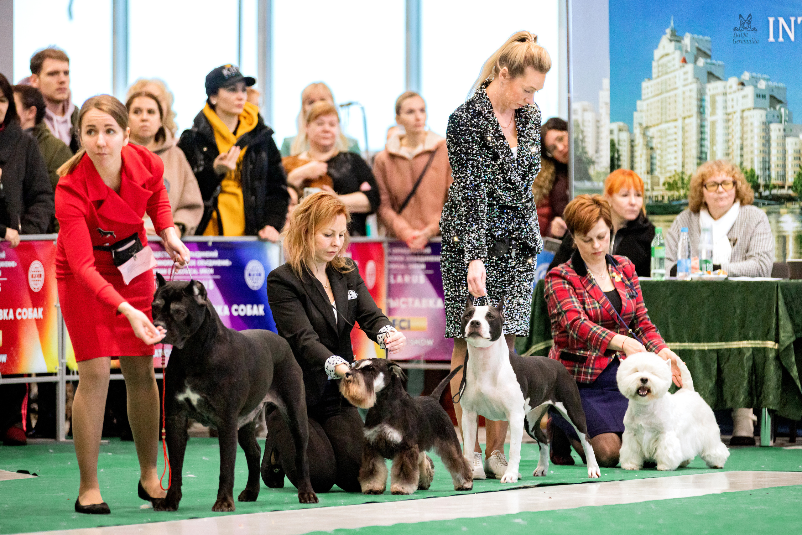 Минск 25-26.02.2023. Фотограф-анималист Юлия Германика