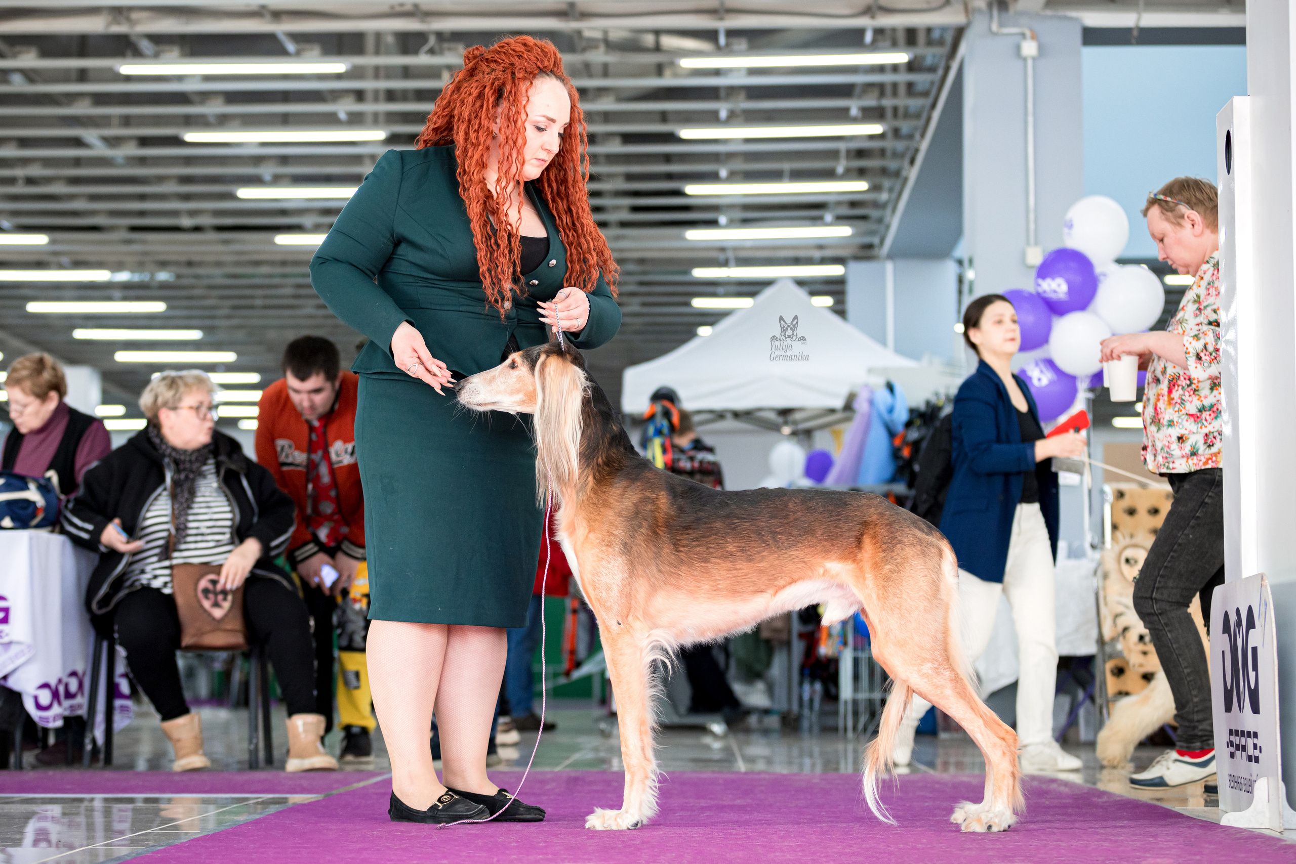Можайский двор 11-12.02.2023. Фотограф-анималист Юлия Германика