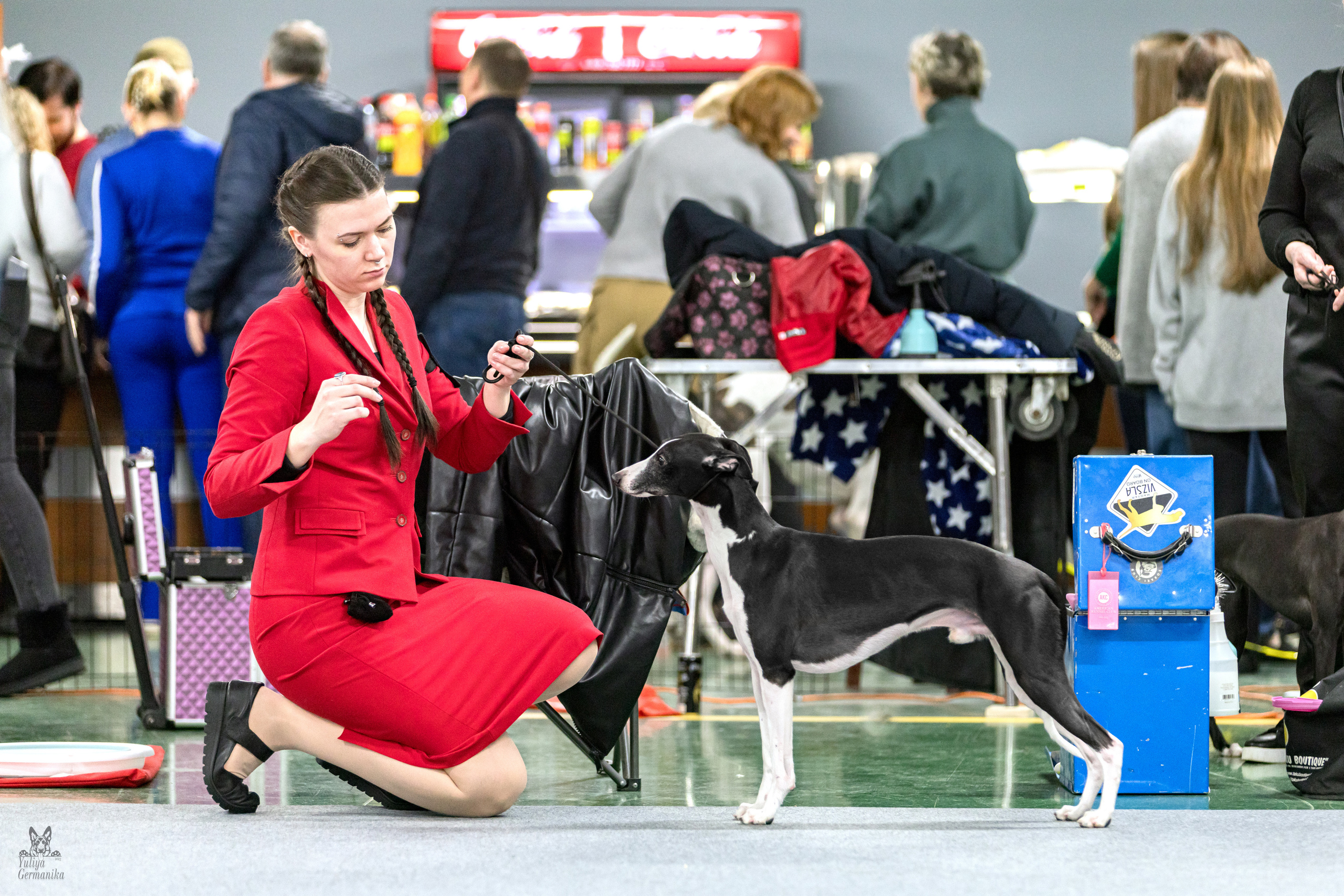 Сфера 5.03.2023. Фотограф-анималист Юлия Германика