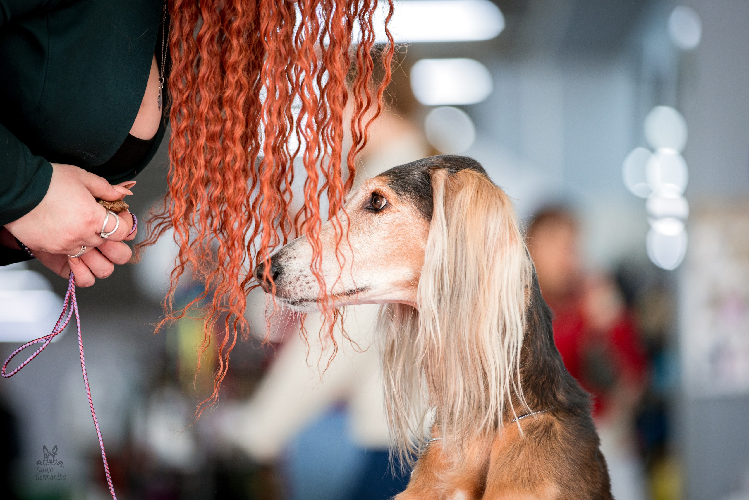 Можайский двор 11-12.02.2023. Фотограф-анималист Юлия Германика