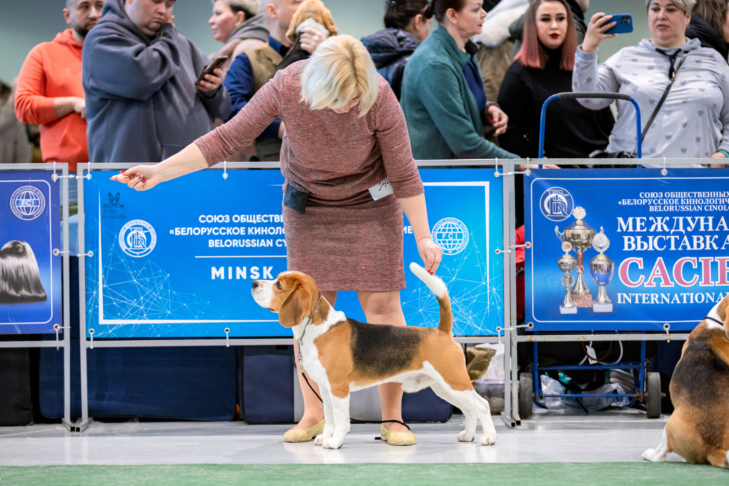 Минск 25-26.02.2023. Фотограф-анималист Юлия Германика