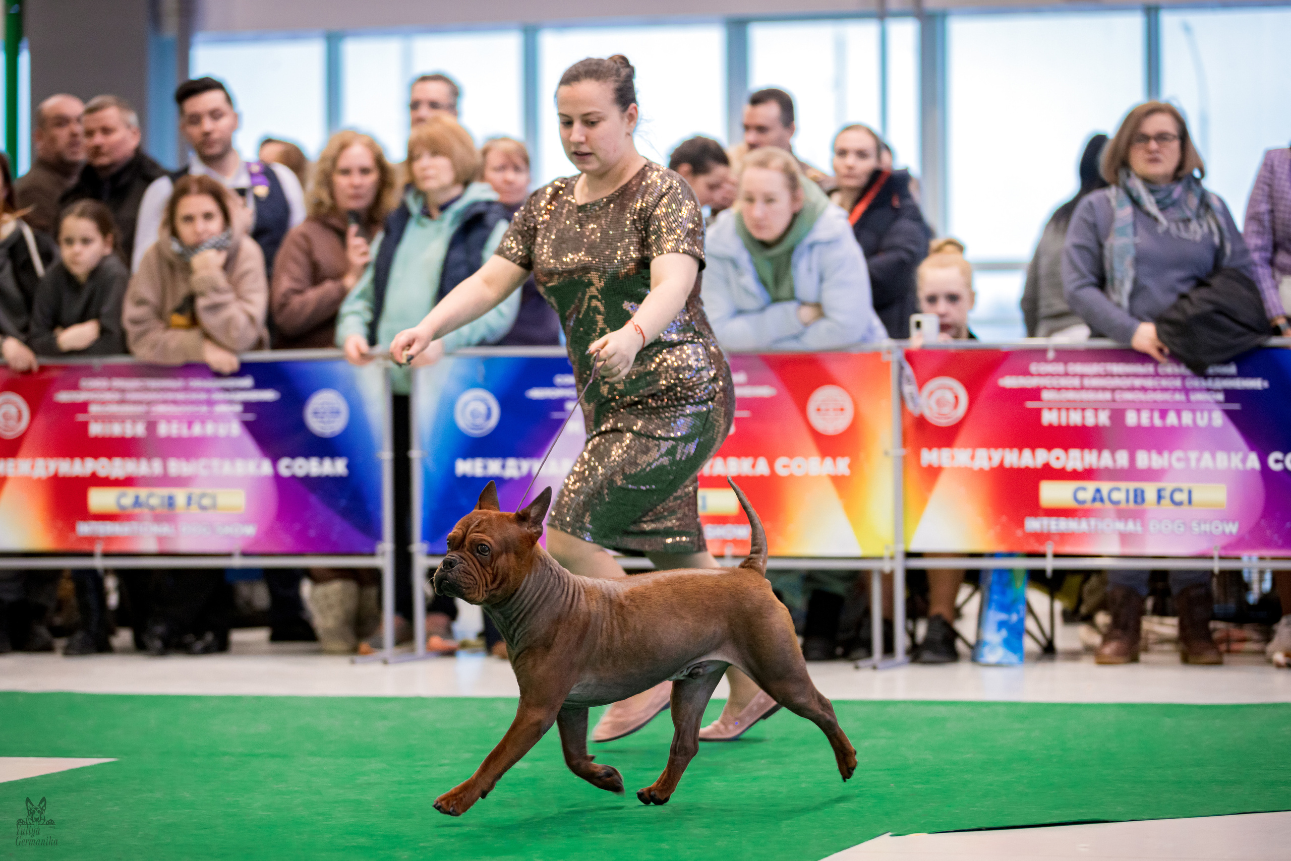 Минск 25-26.02.2023. Фотограф-анималист Юлия Германика