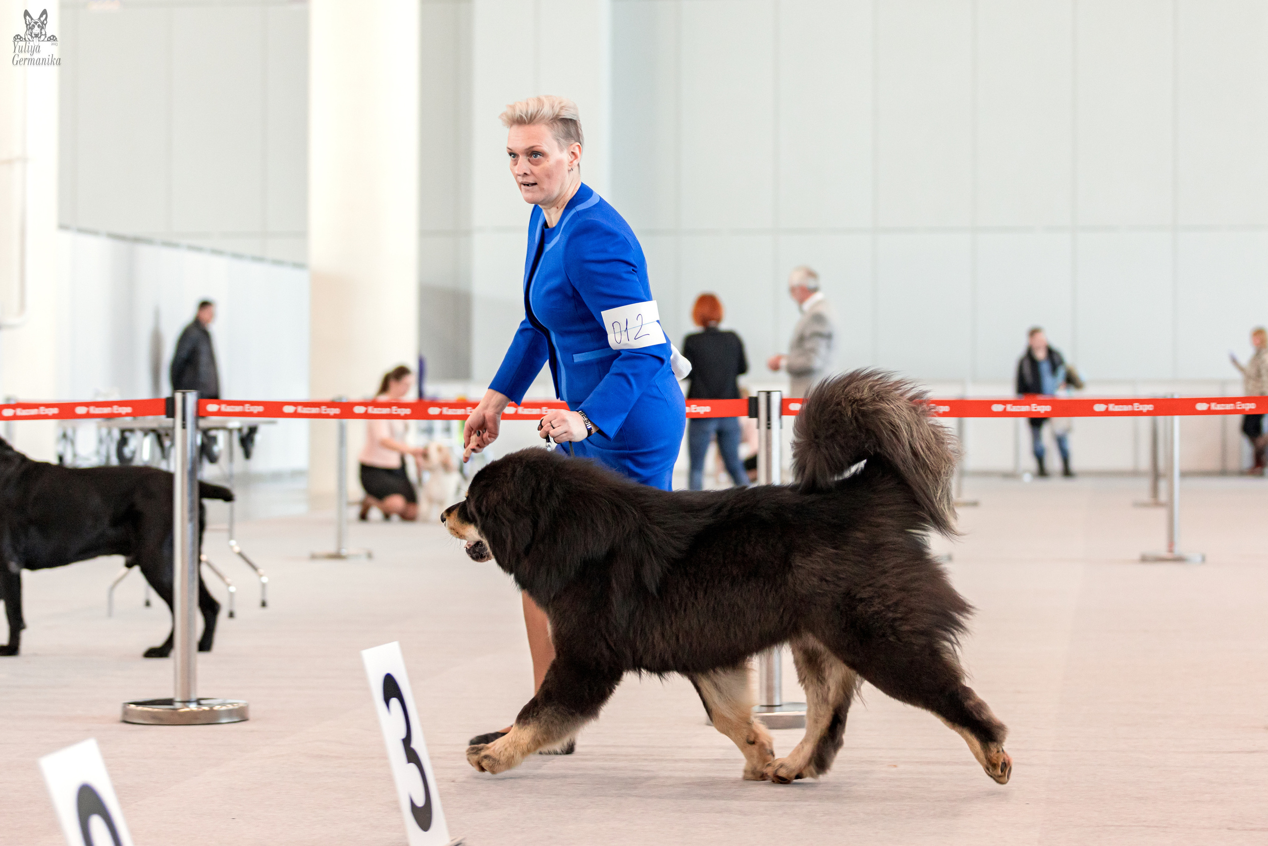 Казань 11.03.2023. Фотограф-анималист Юлия Германика