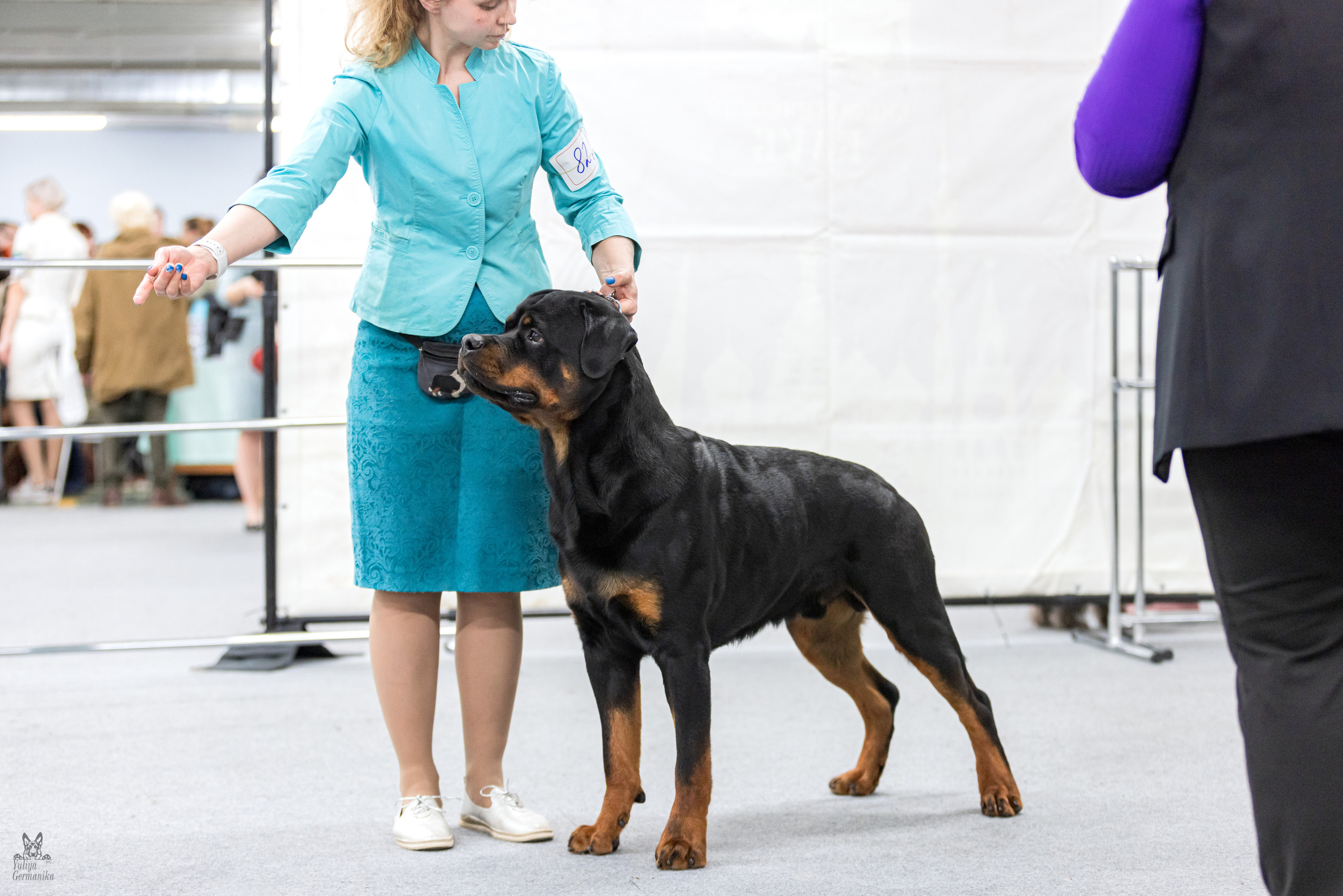 Сфера 5.03.2023. Фотограф-анималист Юлия Германика