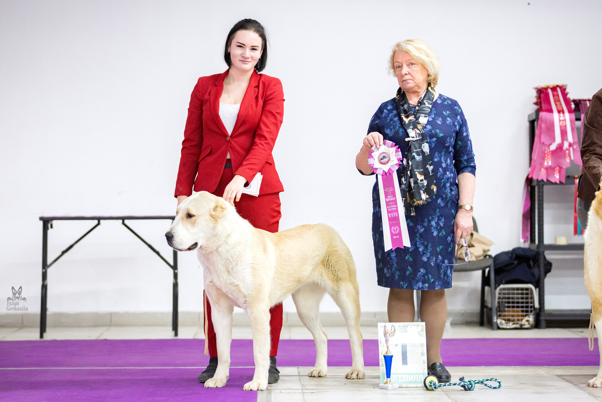 Чайна-Таун 5-8.01.2023. Фотограф-анималист Юлия Германика