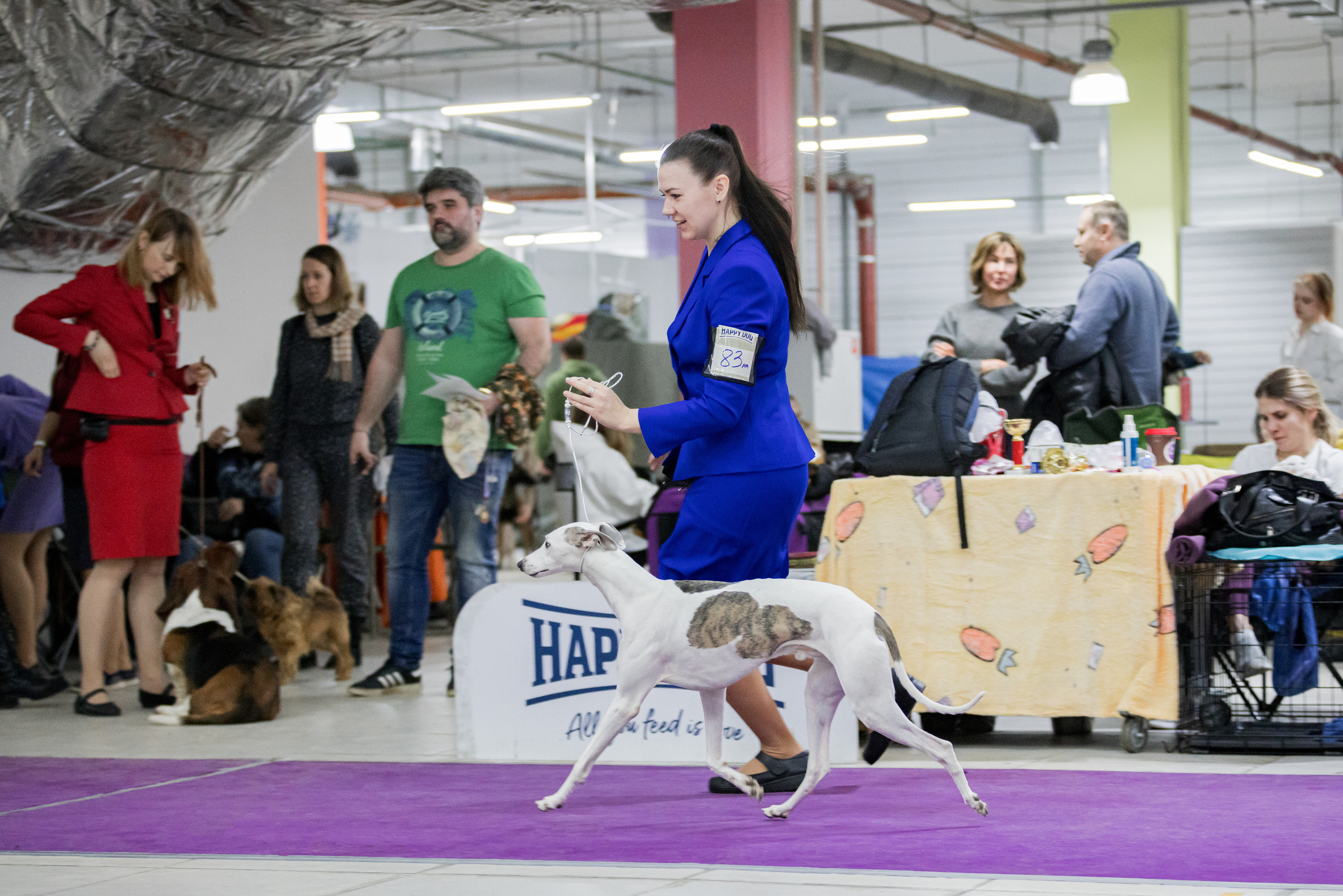 Чайна-Таун 5-8.01.2023. Фотограф-анималист Юлия Германика