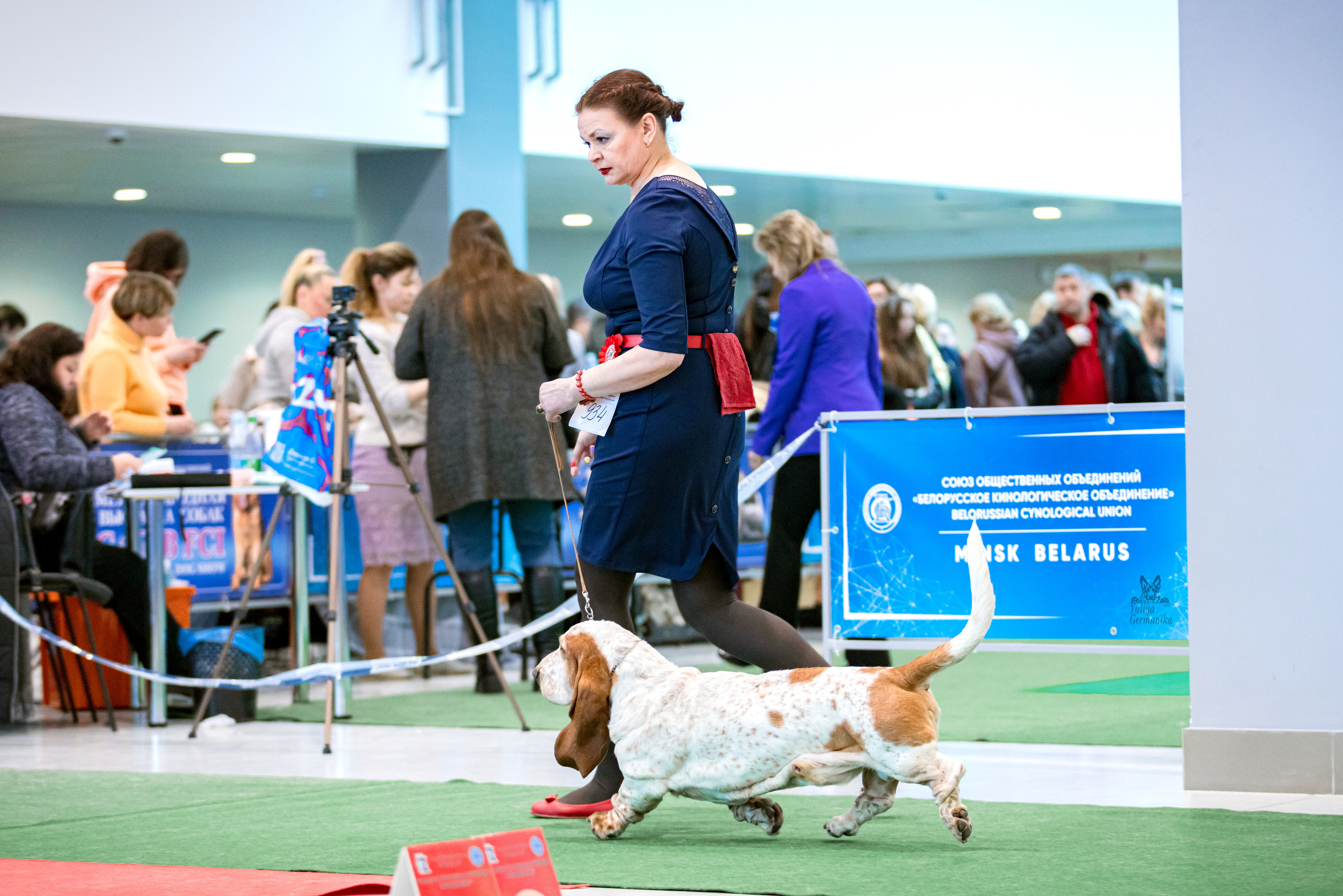 Минск 25-26.02.2023. Фотограф-анималист Юлия Германика