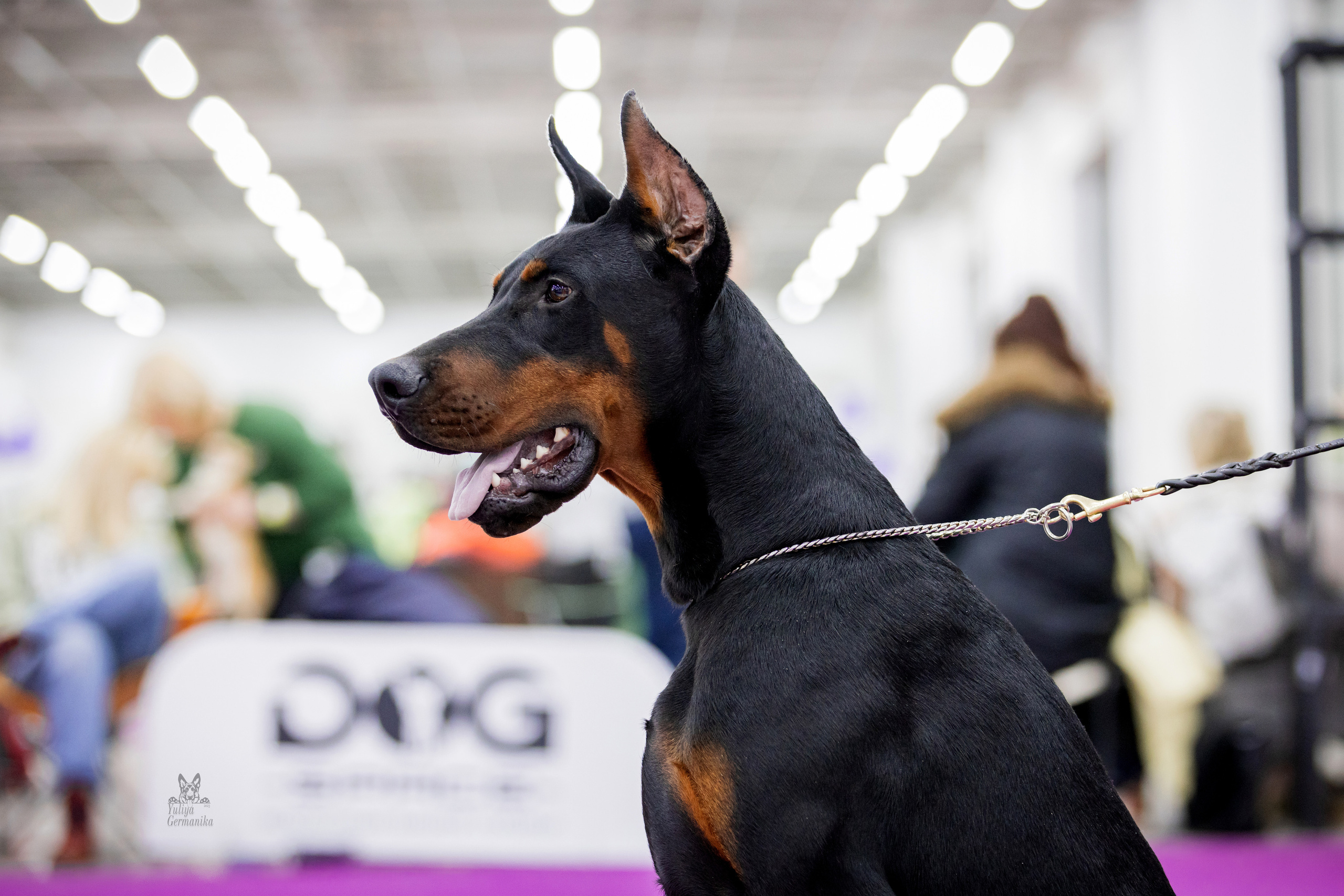 Можайский двор 11-12.02.2023. Фотограф-анималист Юлия Германика