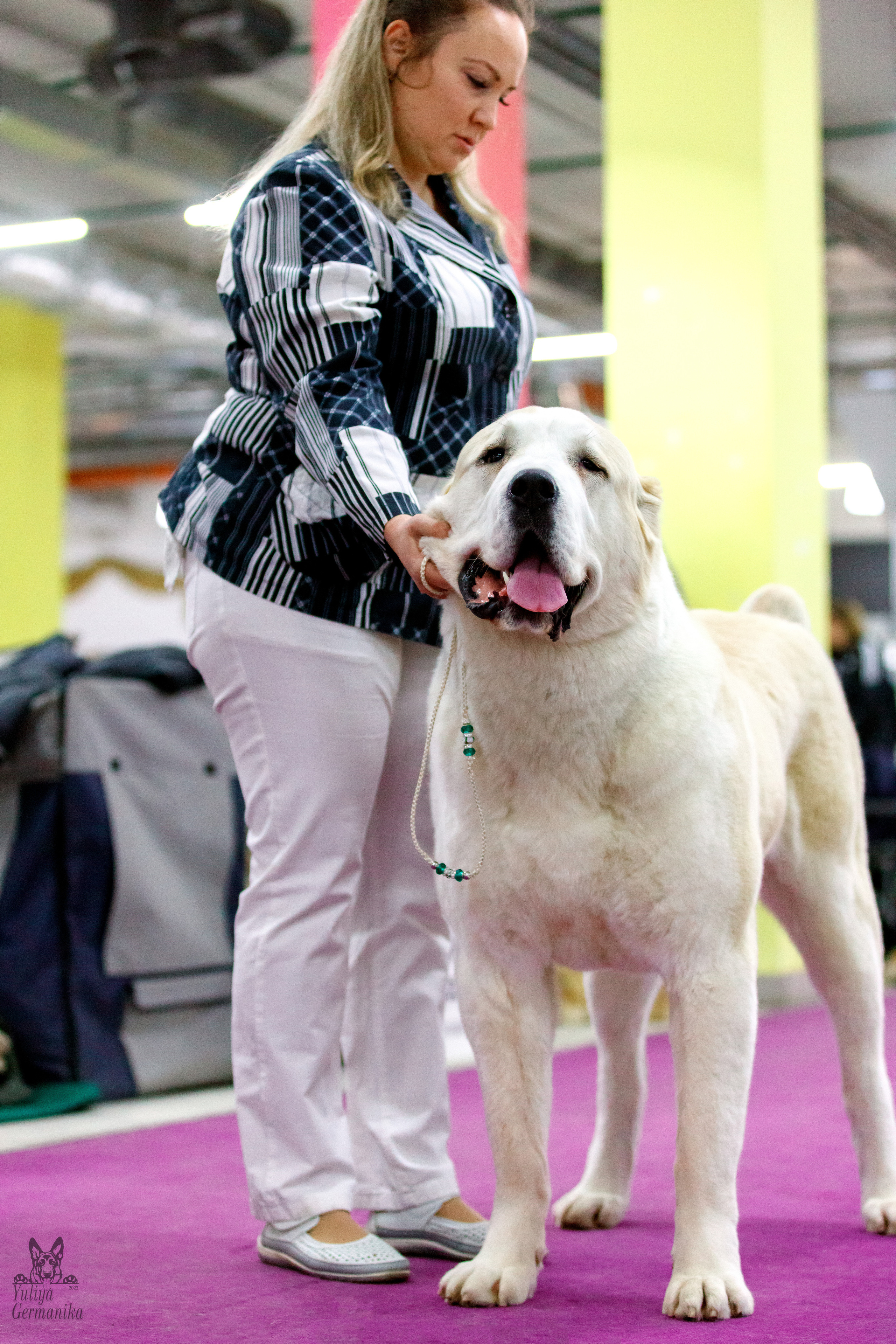 Чайна-Таун 3 и 10.12.2022. Фотограф-анималист Юлия Германика