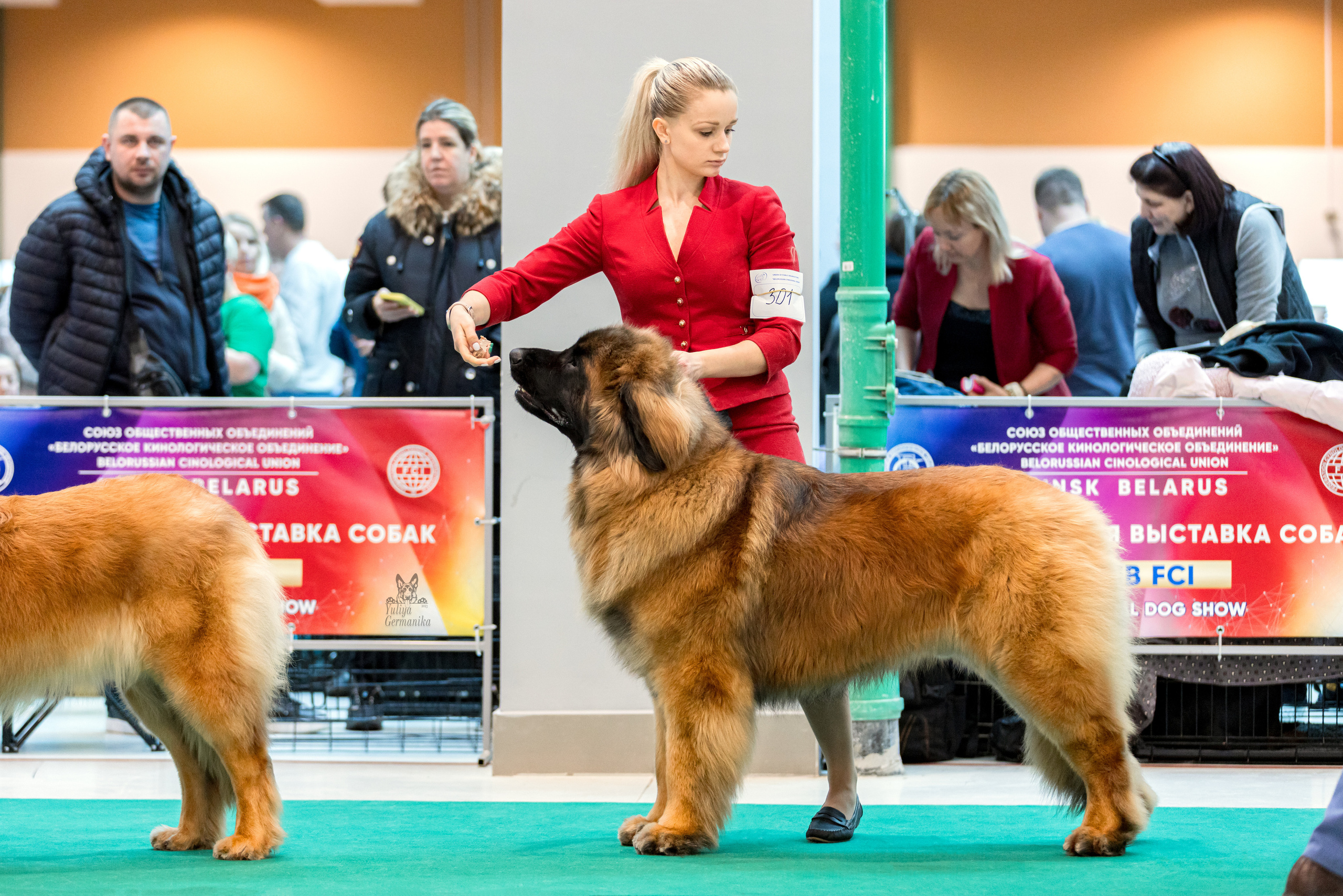 Минск 25-26.02.2023. Фотограф-анималист Юлия Германика