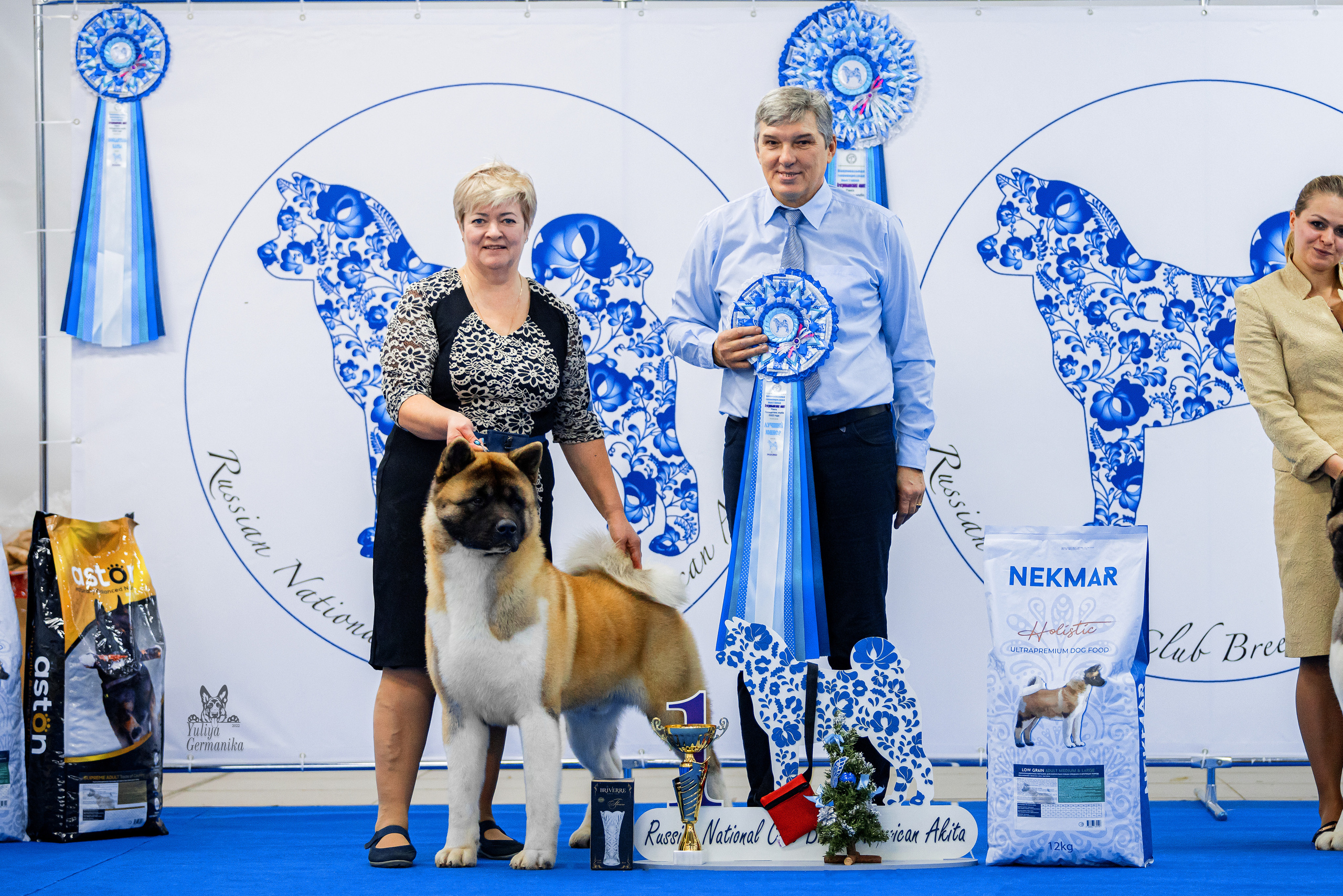 Чайна-Таун 24-25.12.2022. Фотограф-анималист Юлия Германика