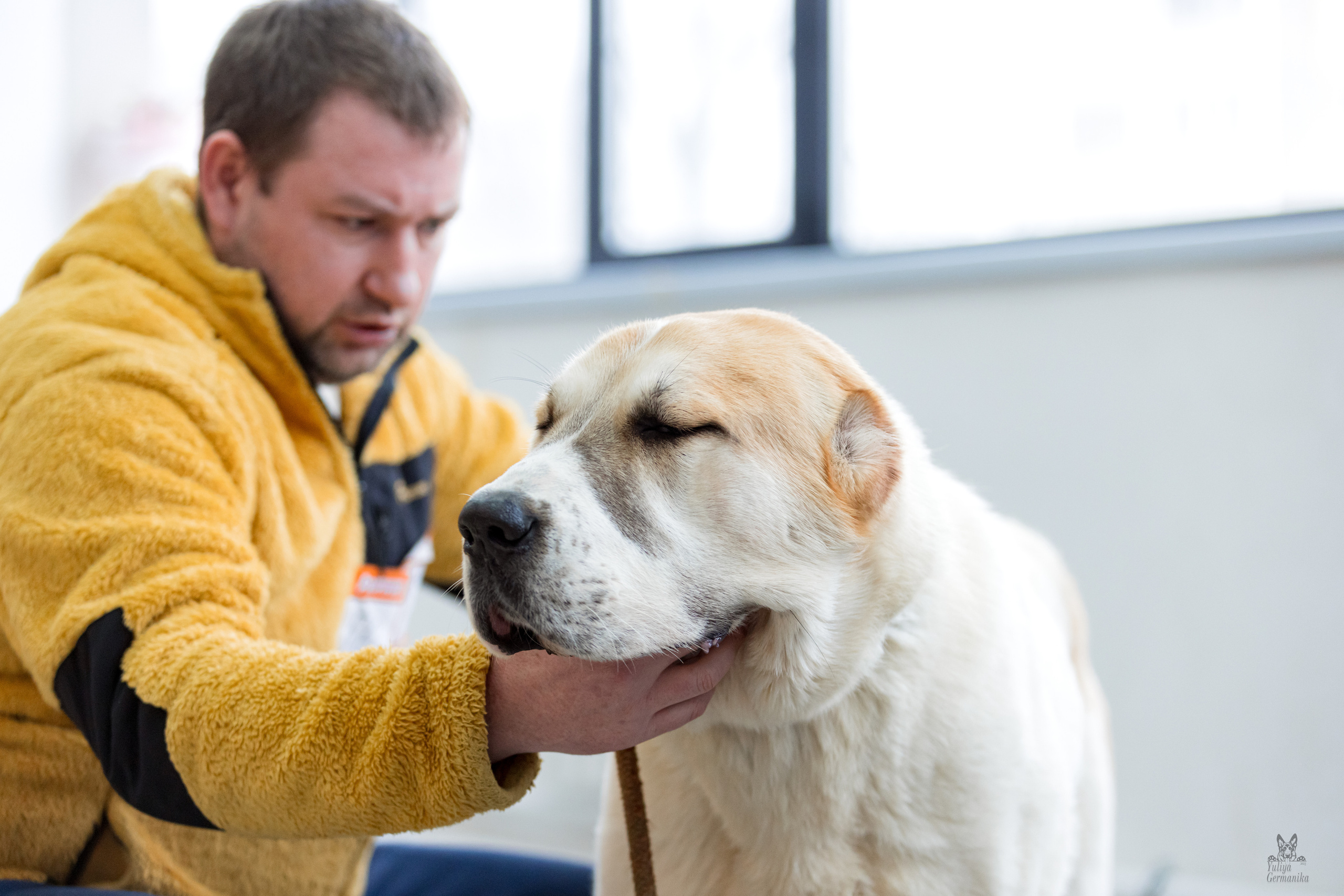 Тверь 19.02.2023. Фотограф-анималист Юлия Германика