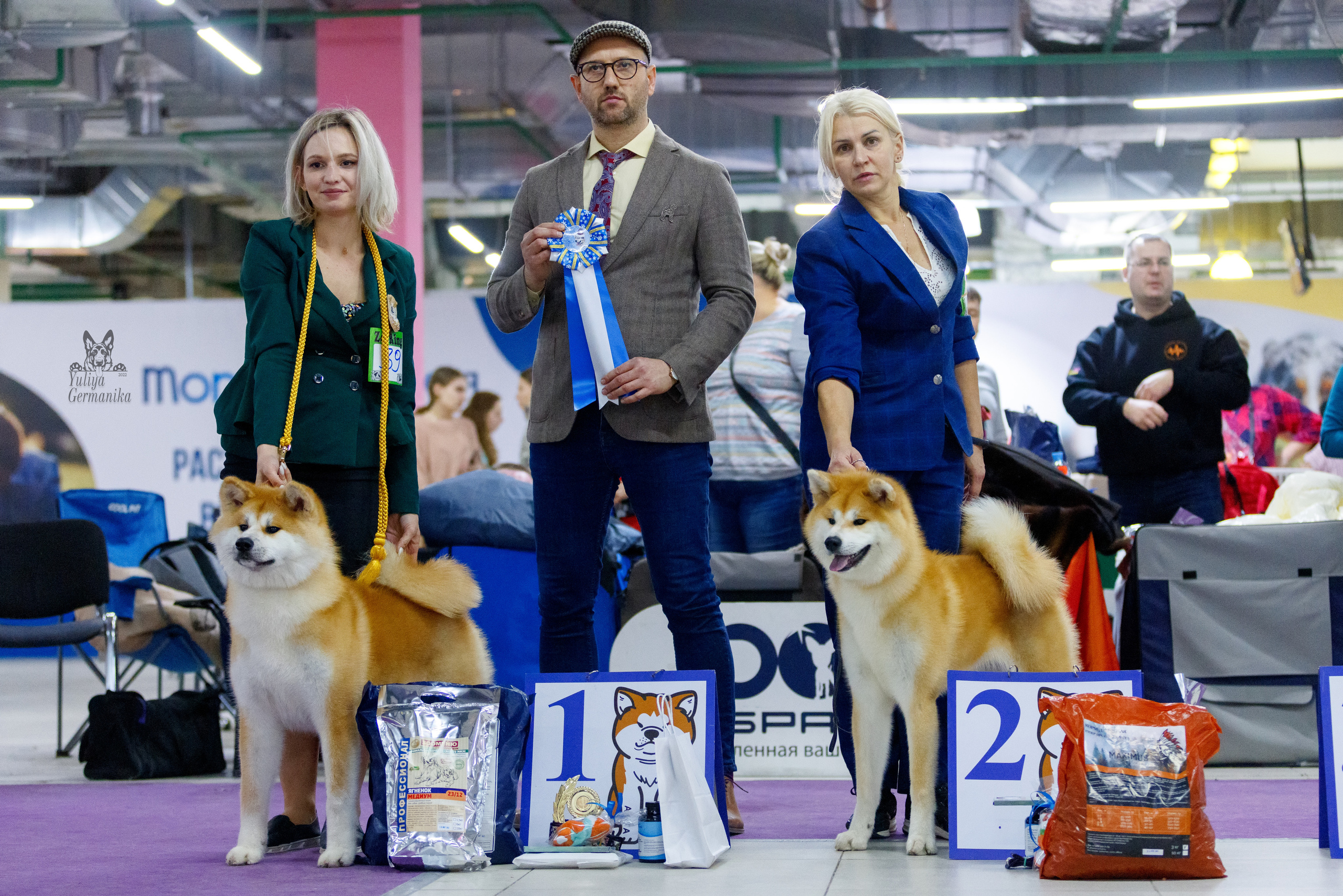 Чайна-Таун 3 и 10.12.2022. Фотограф-анималист Юлия Германика