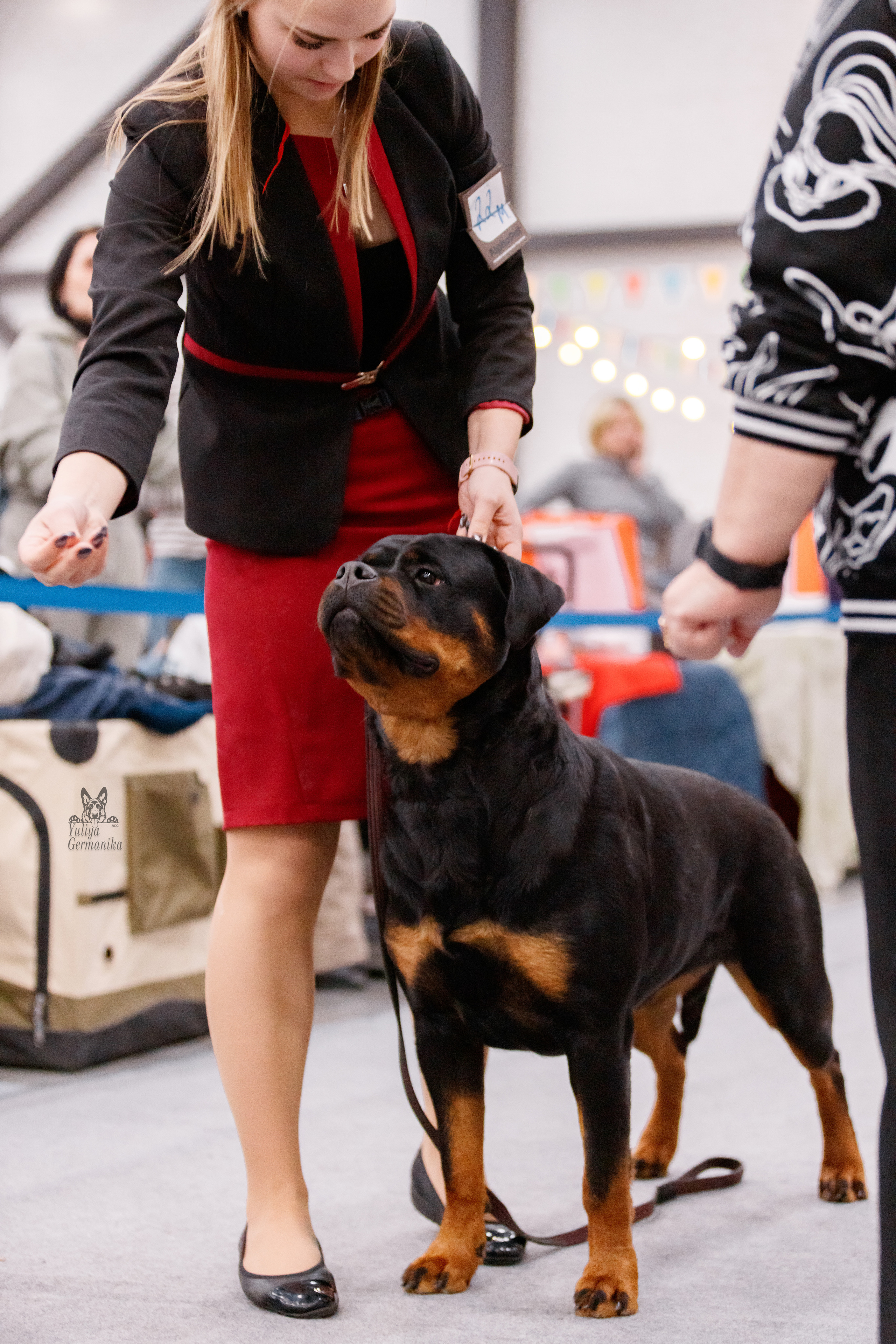 Питер 17-18.12.2022. Фотограф-анималист Юлия Германика