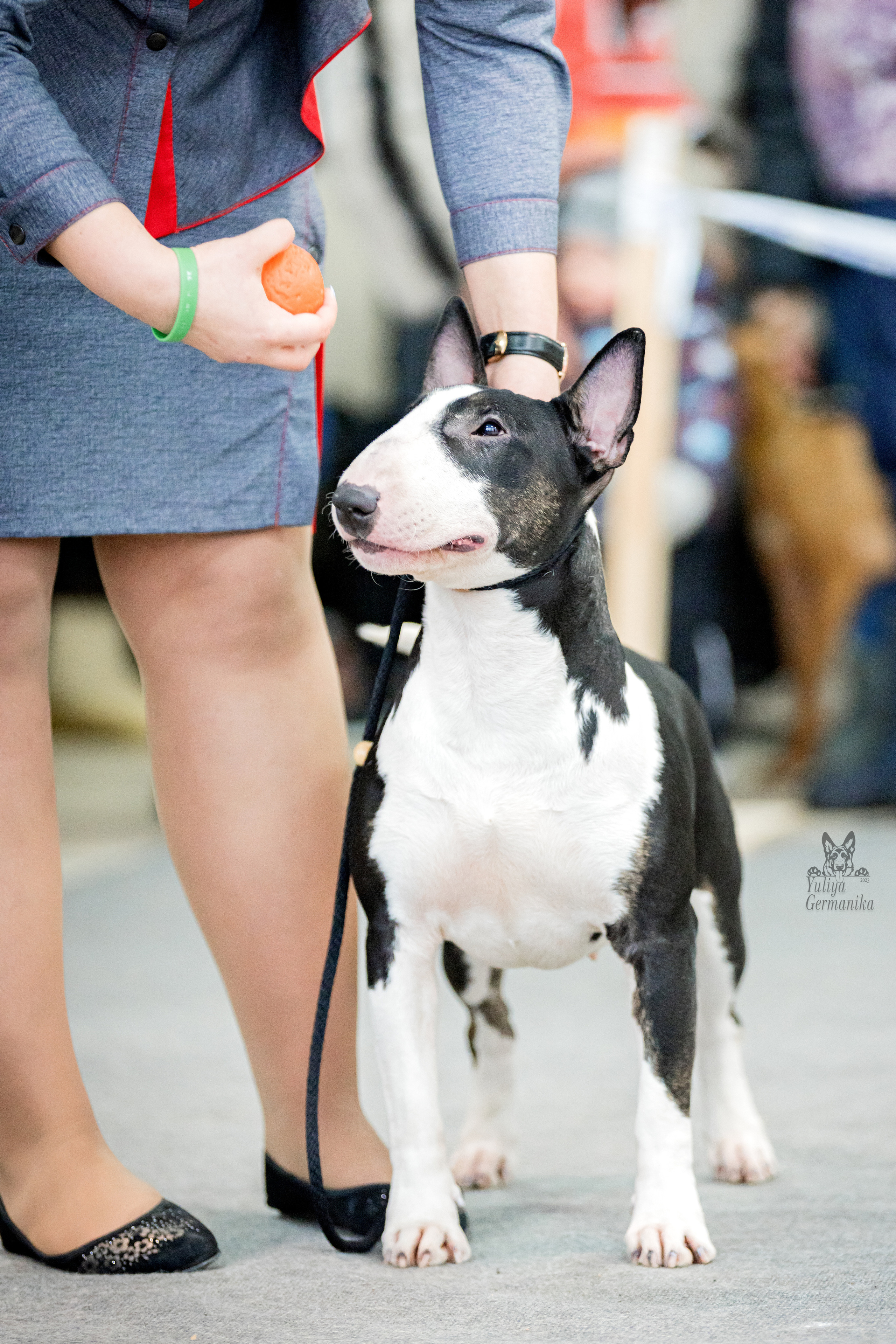 Тверь 19.02.2023. Фотограф-анималист Юлия Германика