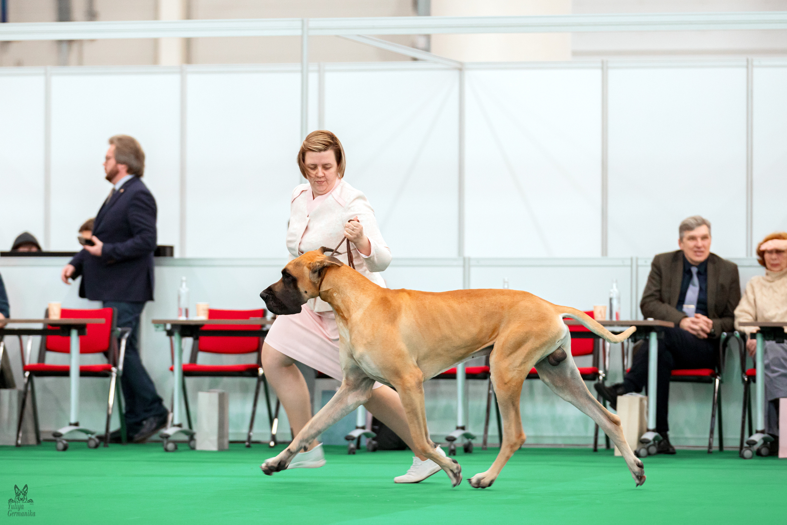 Казань 11.03.2023. Фотограф-анималист Юлия Германика