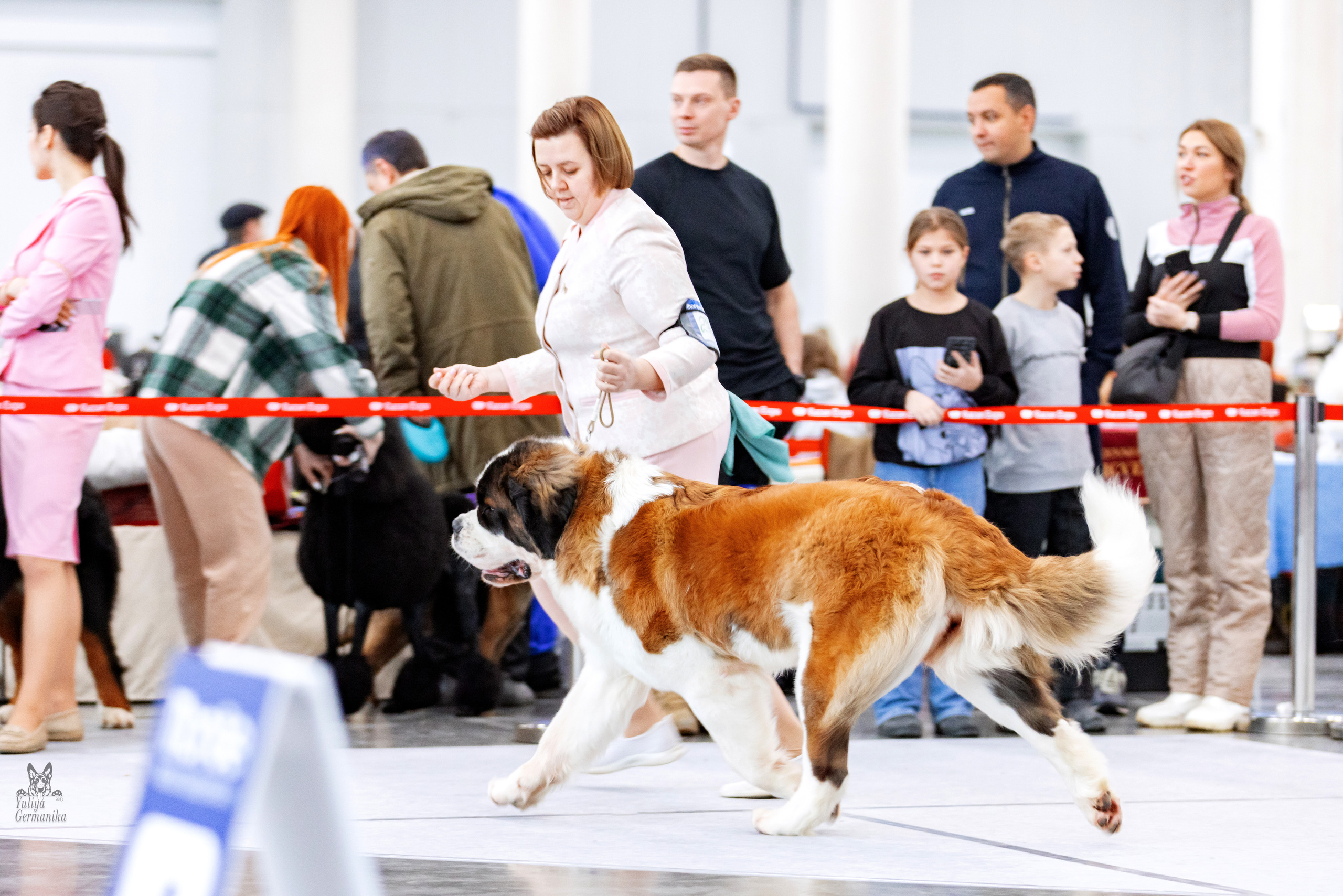 Сабанеевка,Казань 28-29.01.2023. Фотограф-анималист Юлия Германика