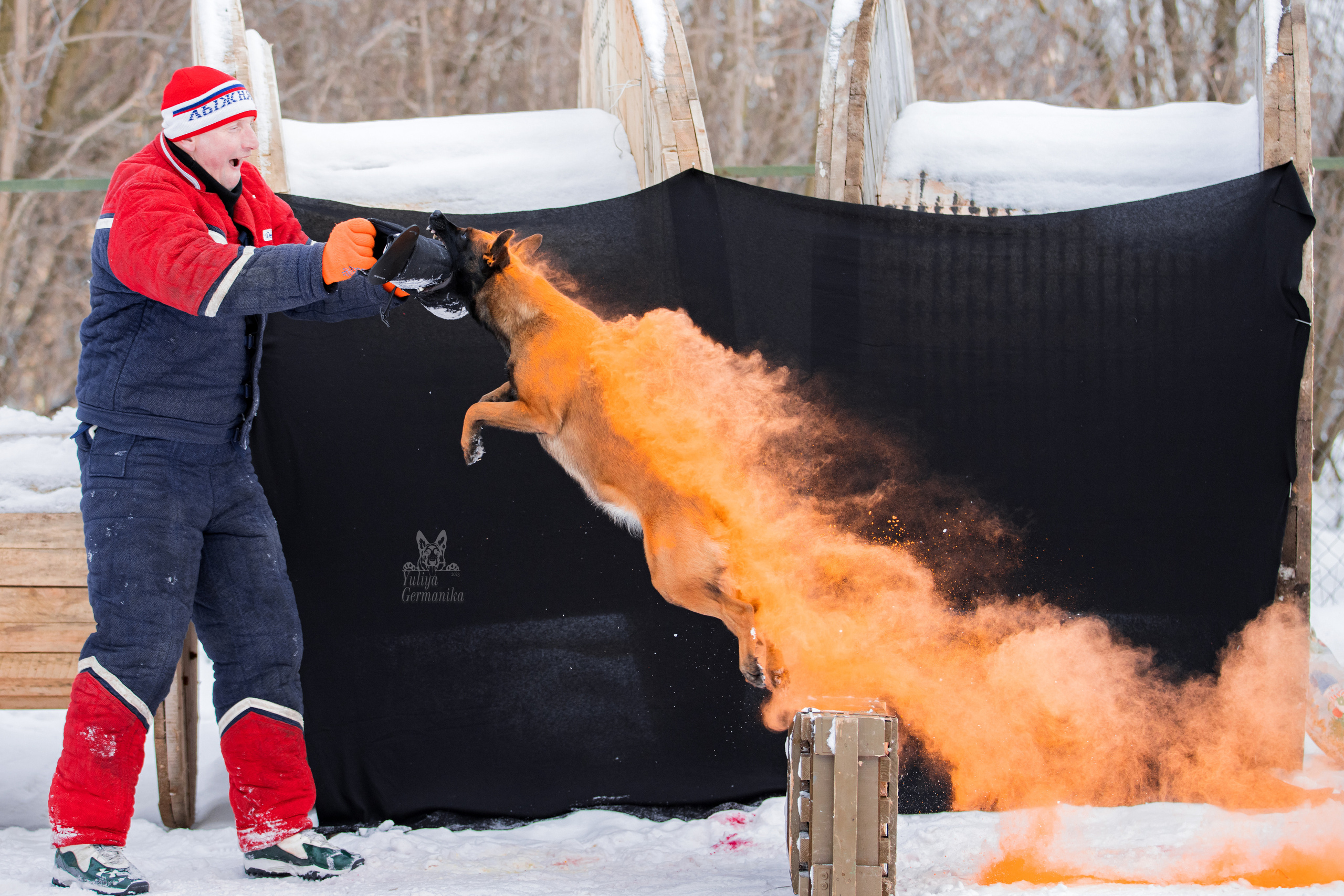 Краски Холли. Фотограф-анималист Юлия Германика