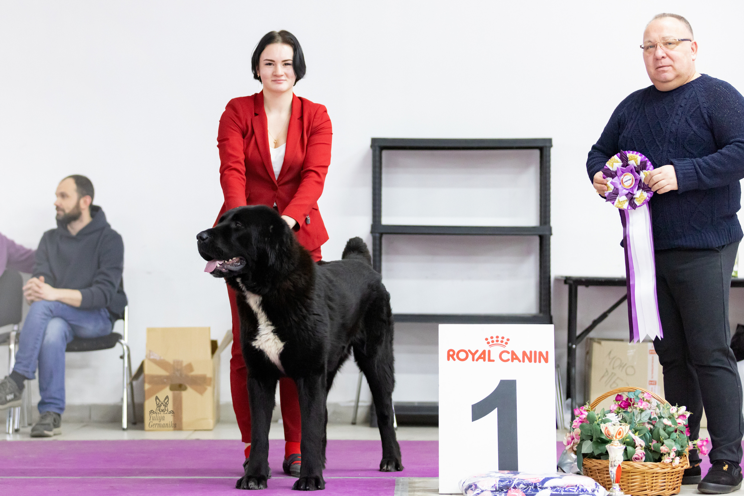 Чайна-Таун 4-5.02.2023. Фотограф-анималист Юлия Германика