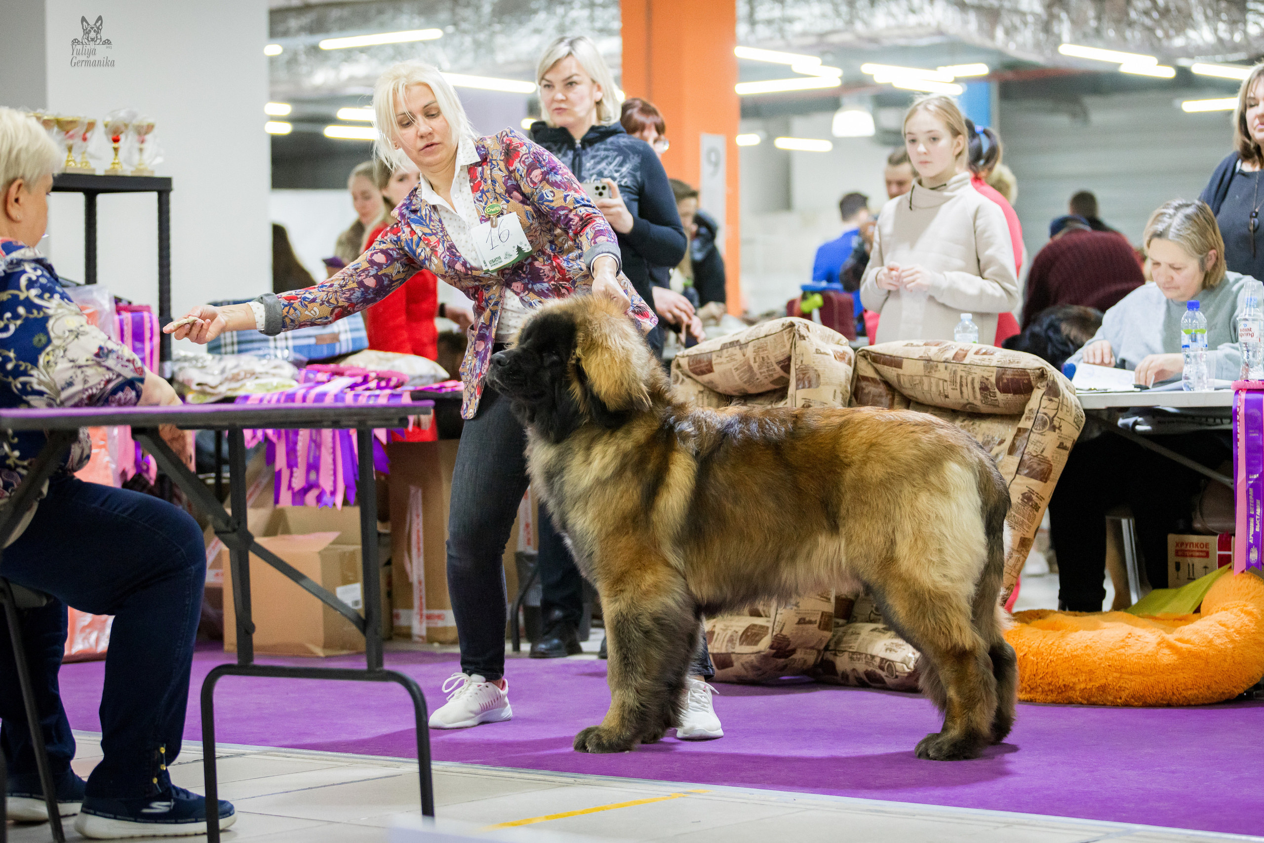 Чайна-Таун 5-8.01.2023. Фотограф-анималист Юлия Германика