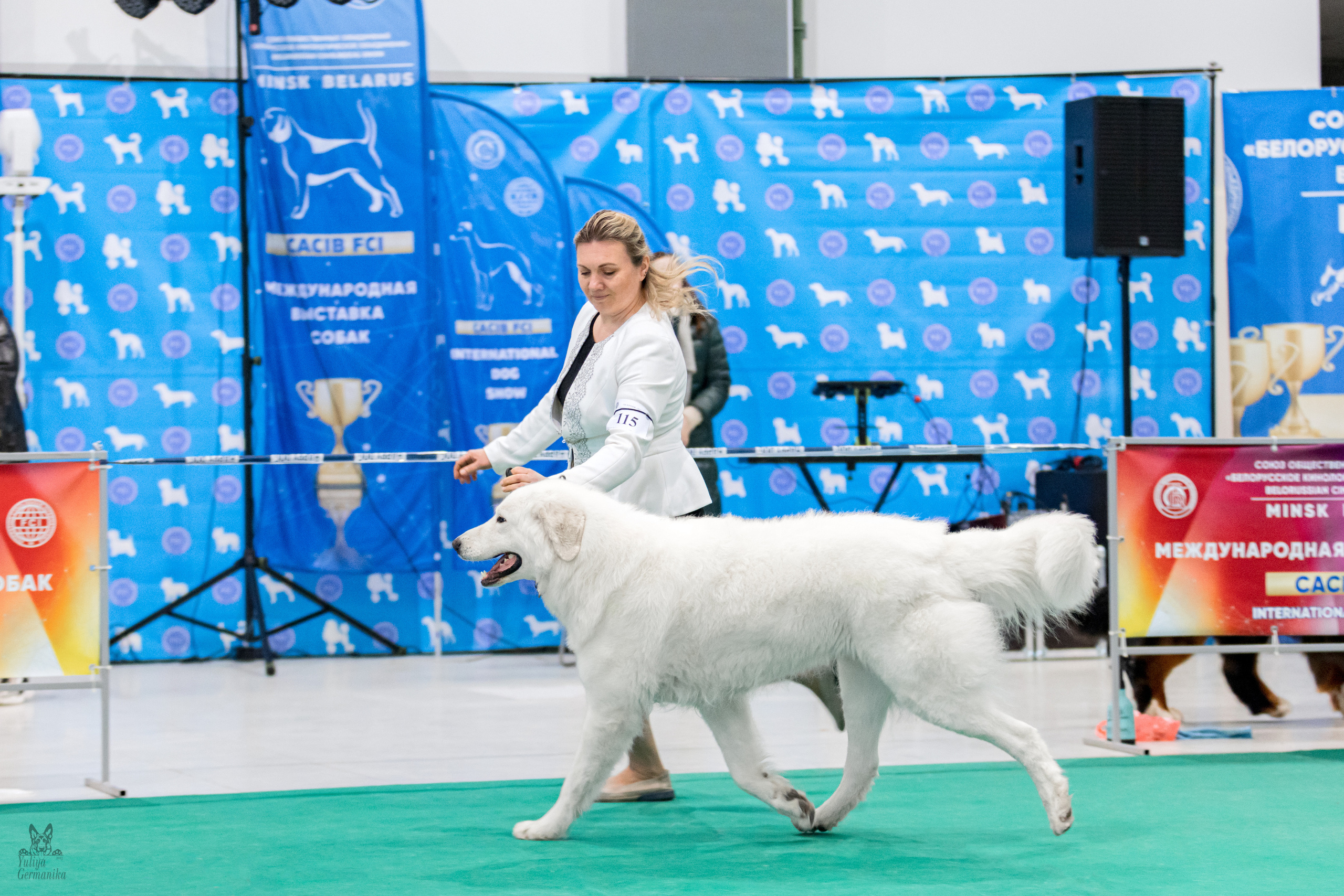 Минск 25-26.02.2023. Фотограф-анималист Юлия Германика