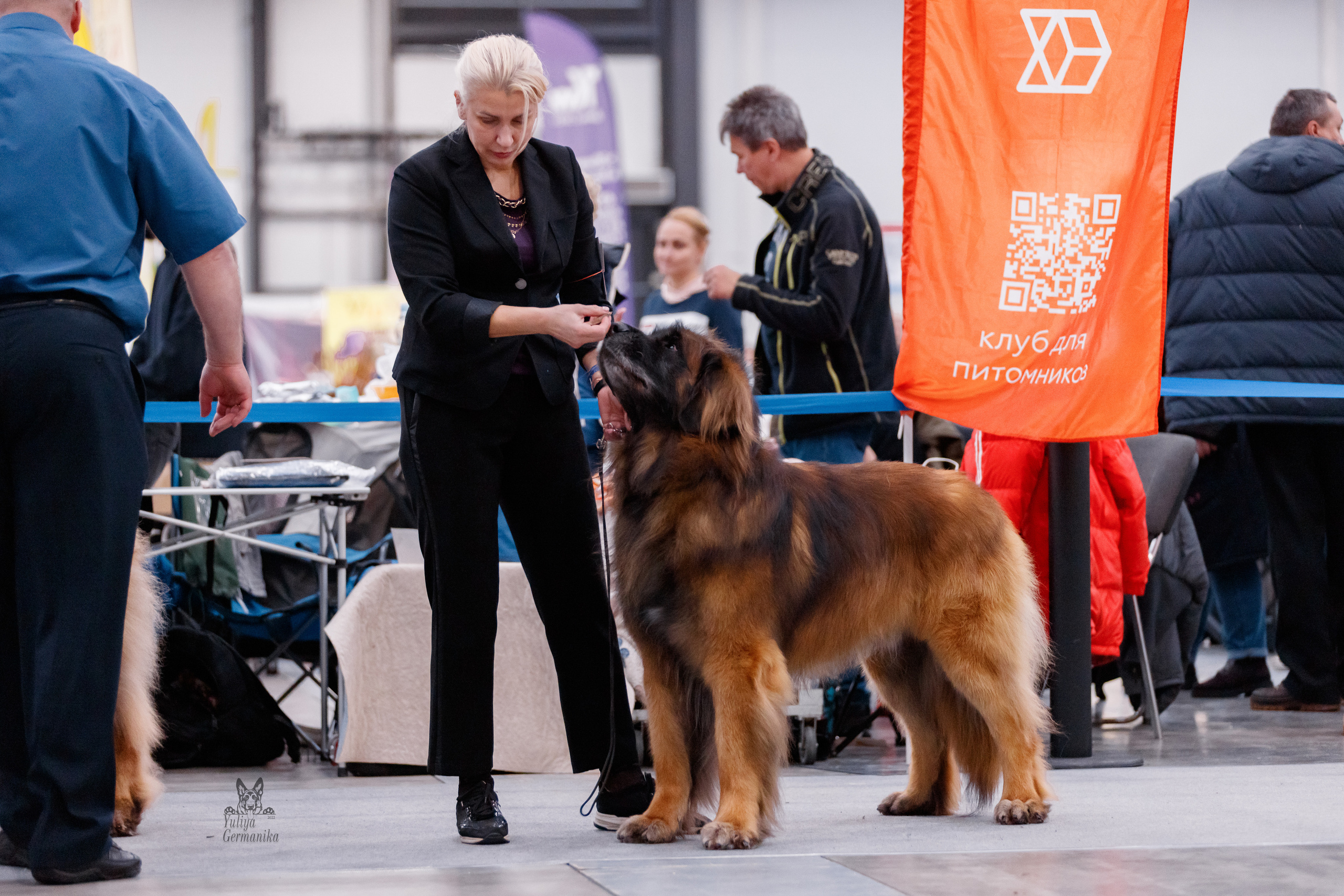 Питер 17-18.12.2022. Фотограф-анималист Юлия Германика